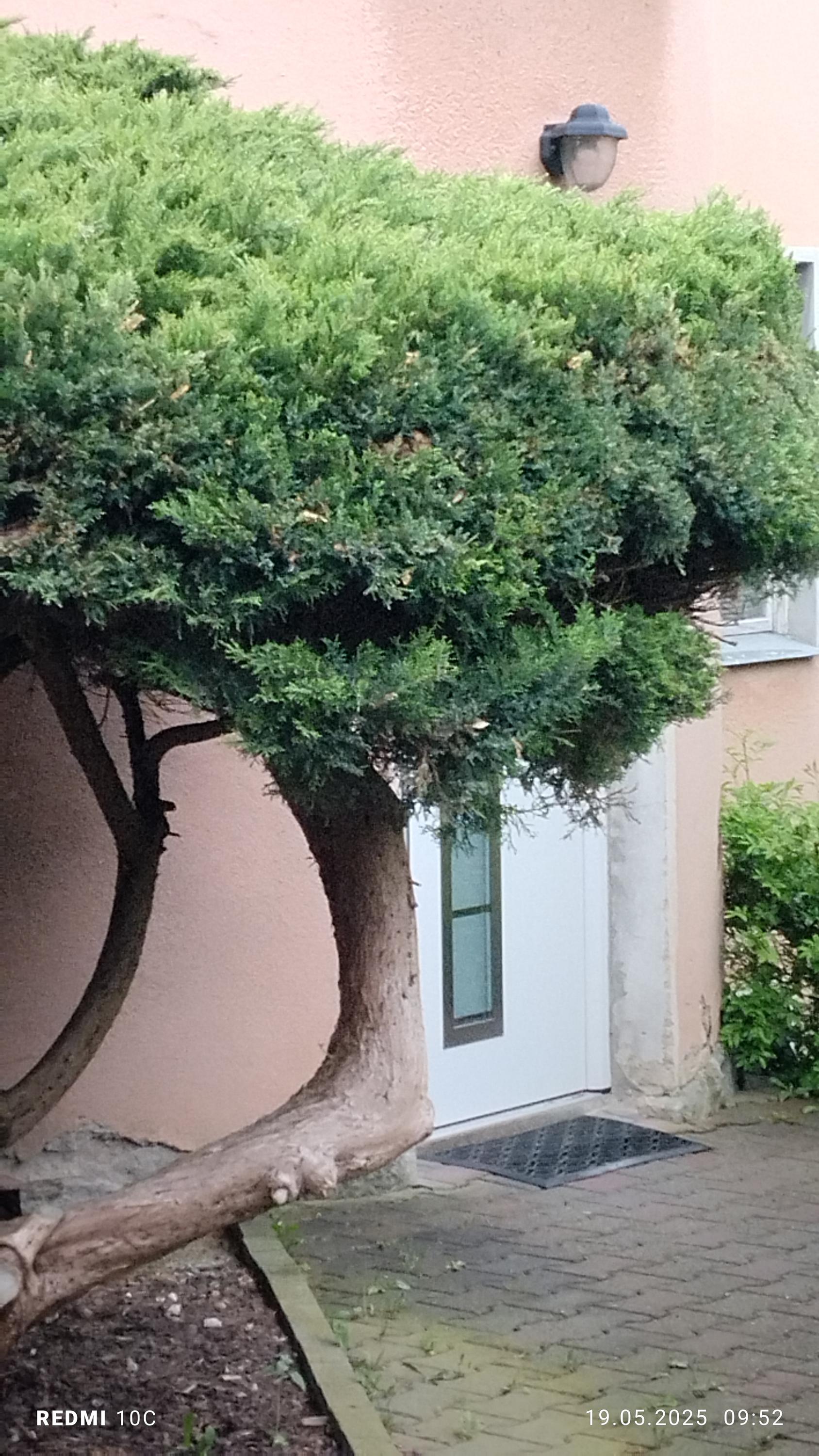 MUDr. Milena Horáčková- zubní lékař foto 2