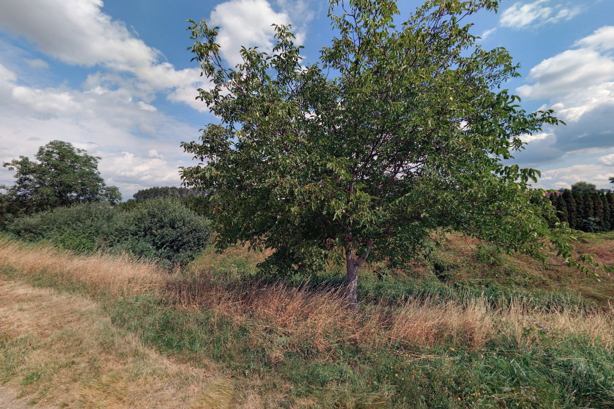 AFK Opatovice nad Labem