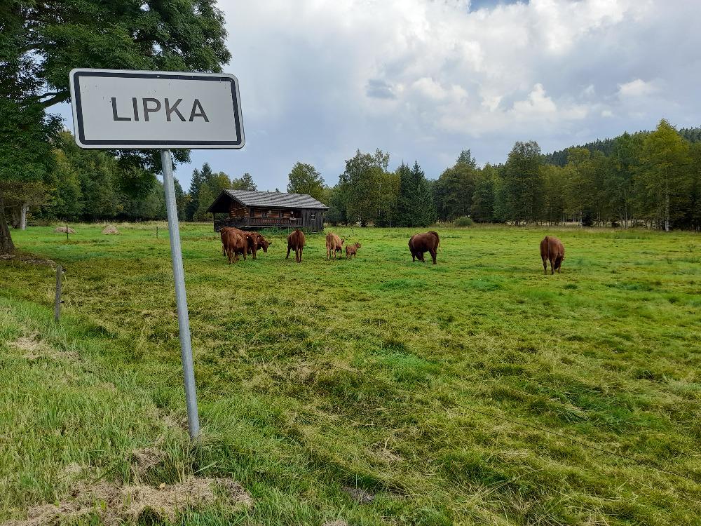 Apartmány Lipka foto 5