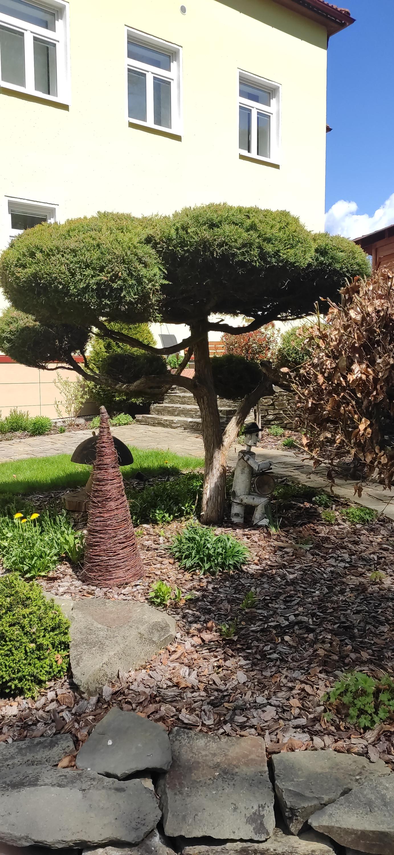 Samoobslužný bar Javoříčko foto 4