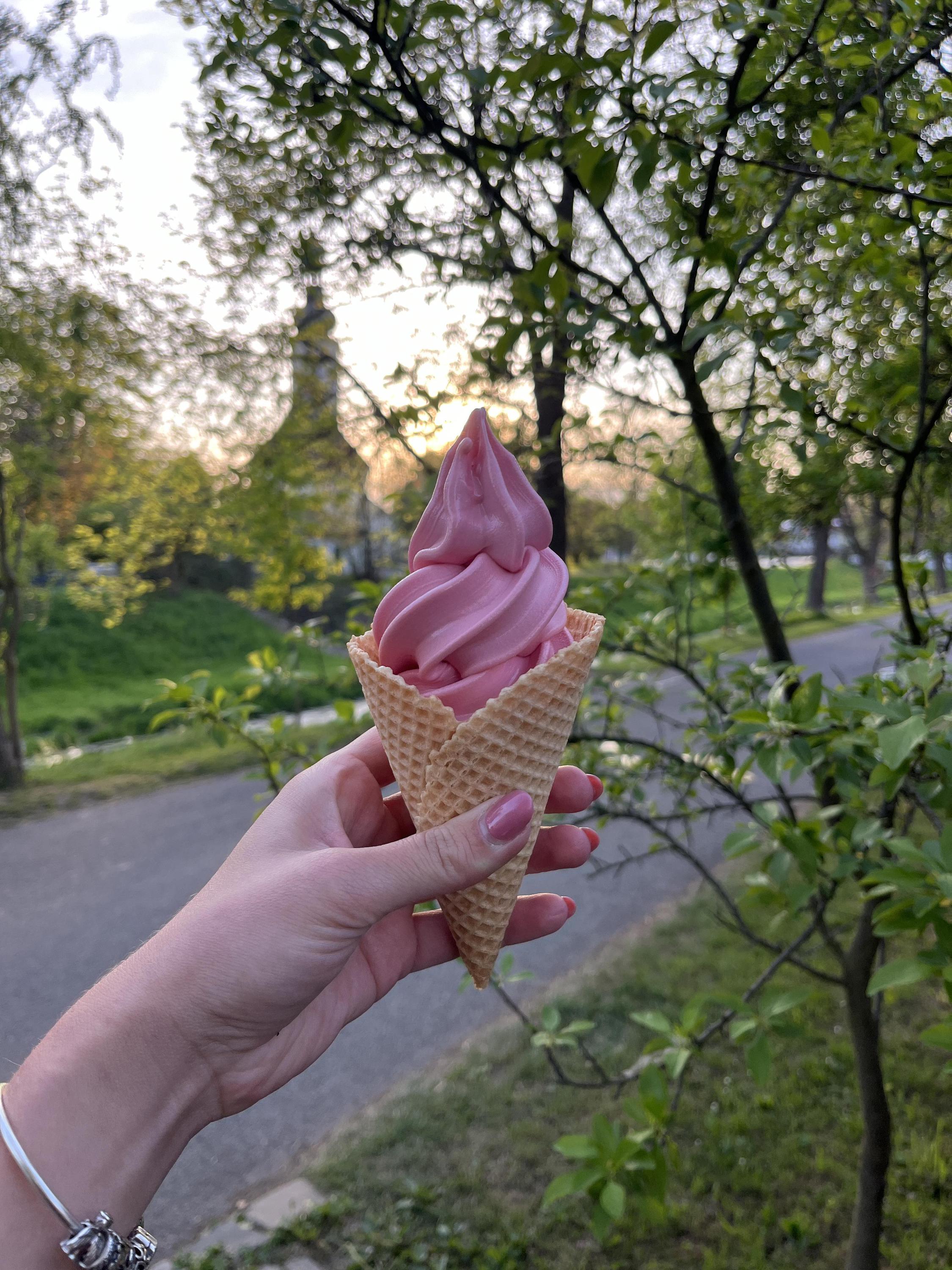 Zmrzlina u Hřiště foto 6