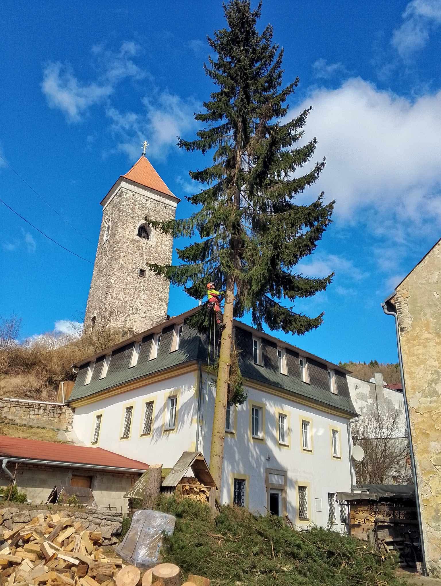 TR DREAM – Rizikové kácení a výškové práce