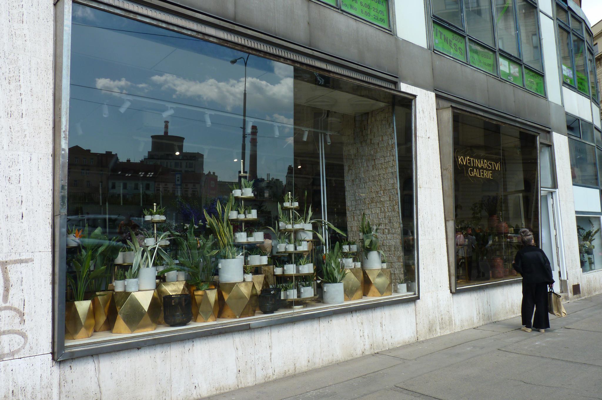 Květinářství GALERIE Brno foto 6