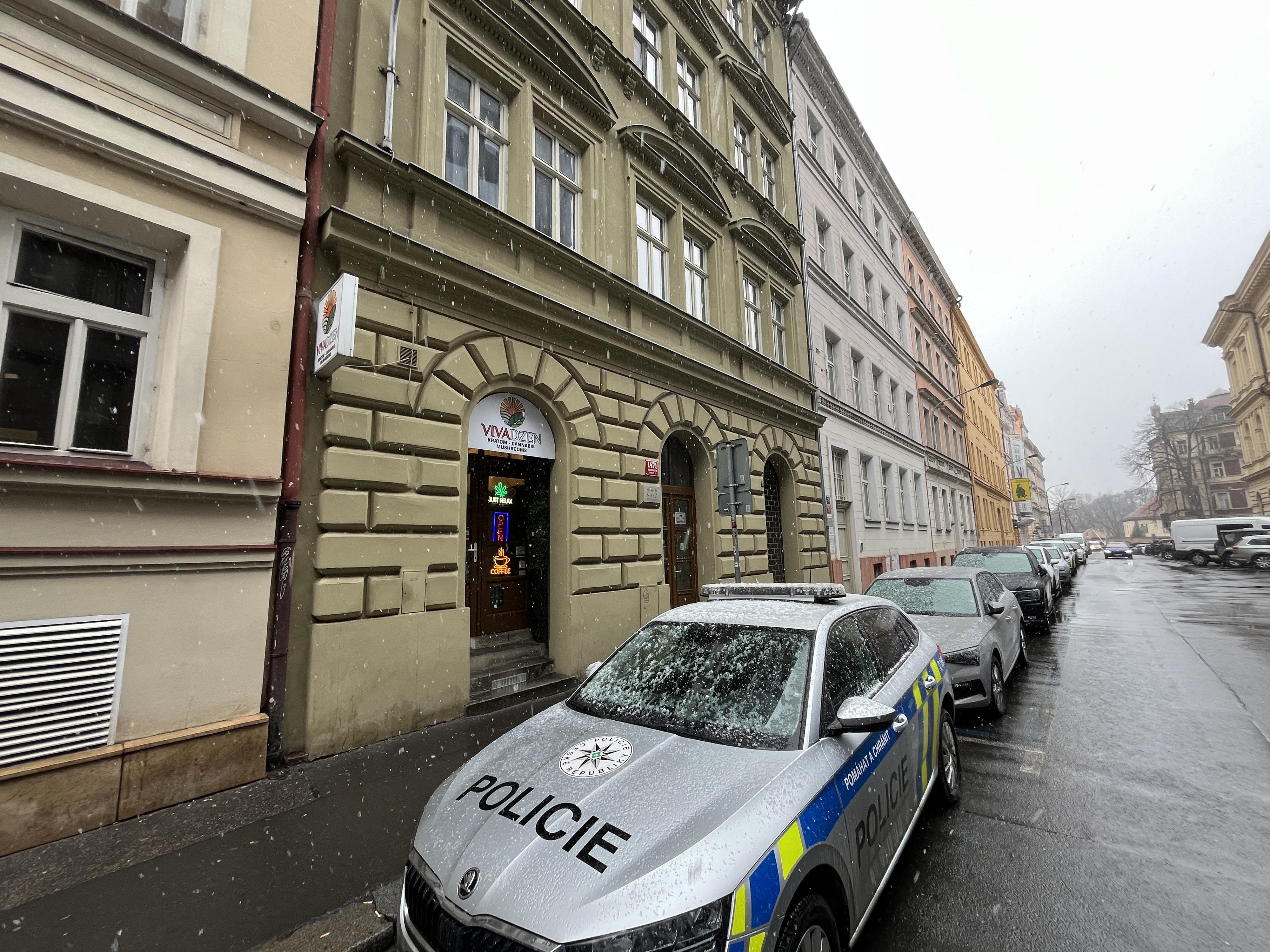 VivaDzen foto 2