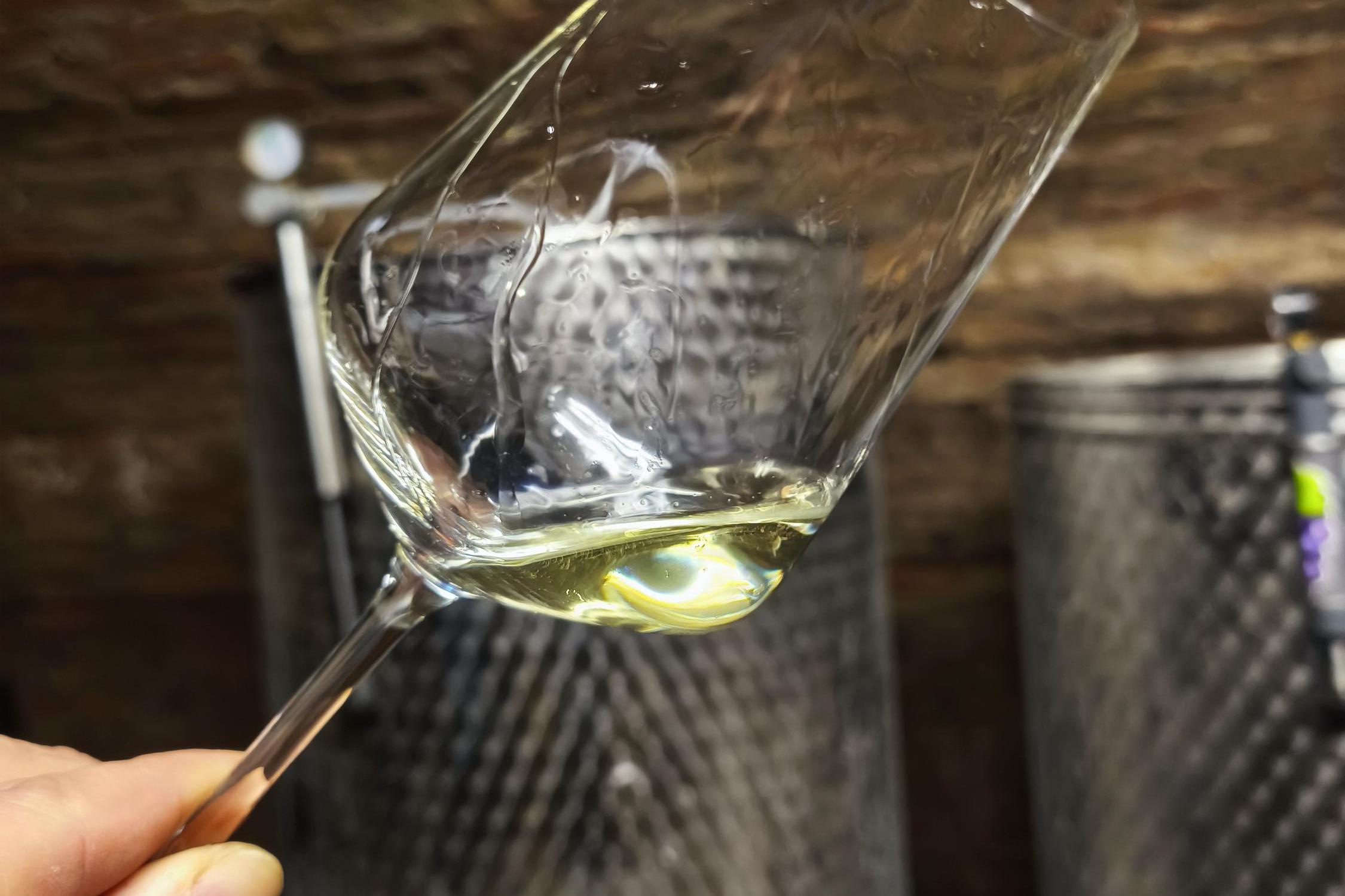 Vinařství Kamil Trávník