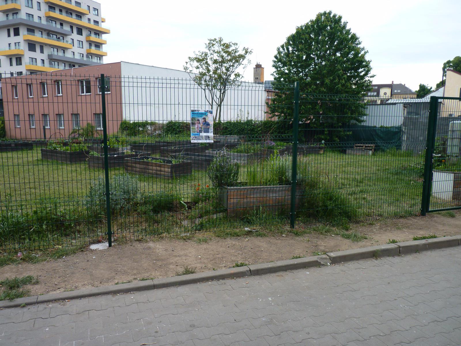 Komunitní zahrada Židenice foto 2