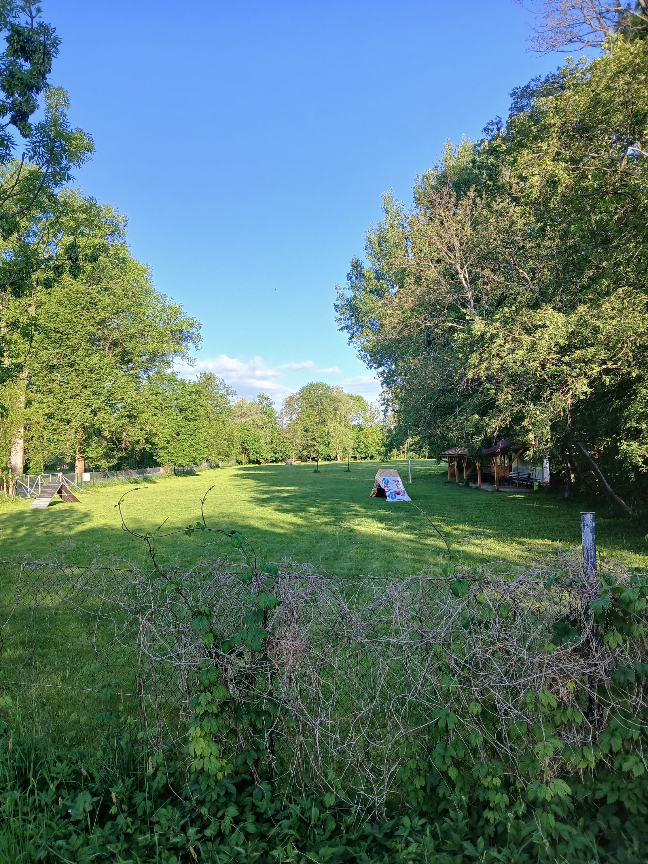 Český kynologický svaz ZKO Vysoké Mýto - 206 foto 1