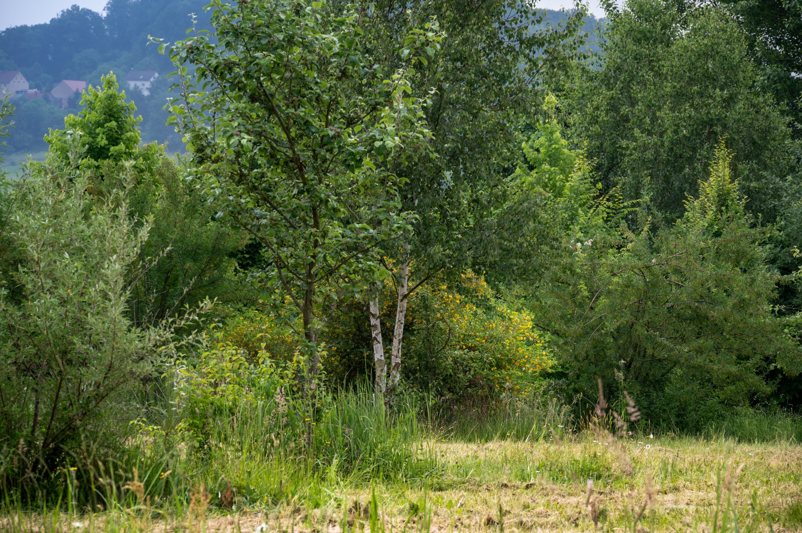 Ekozahrady Jaroslav Svoboda foto 3