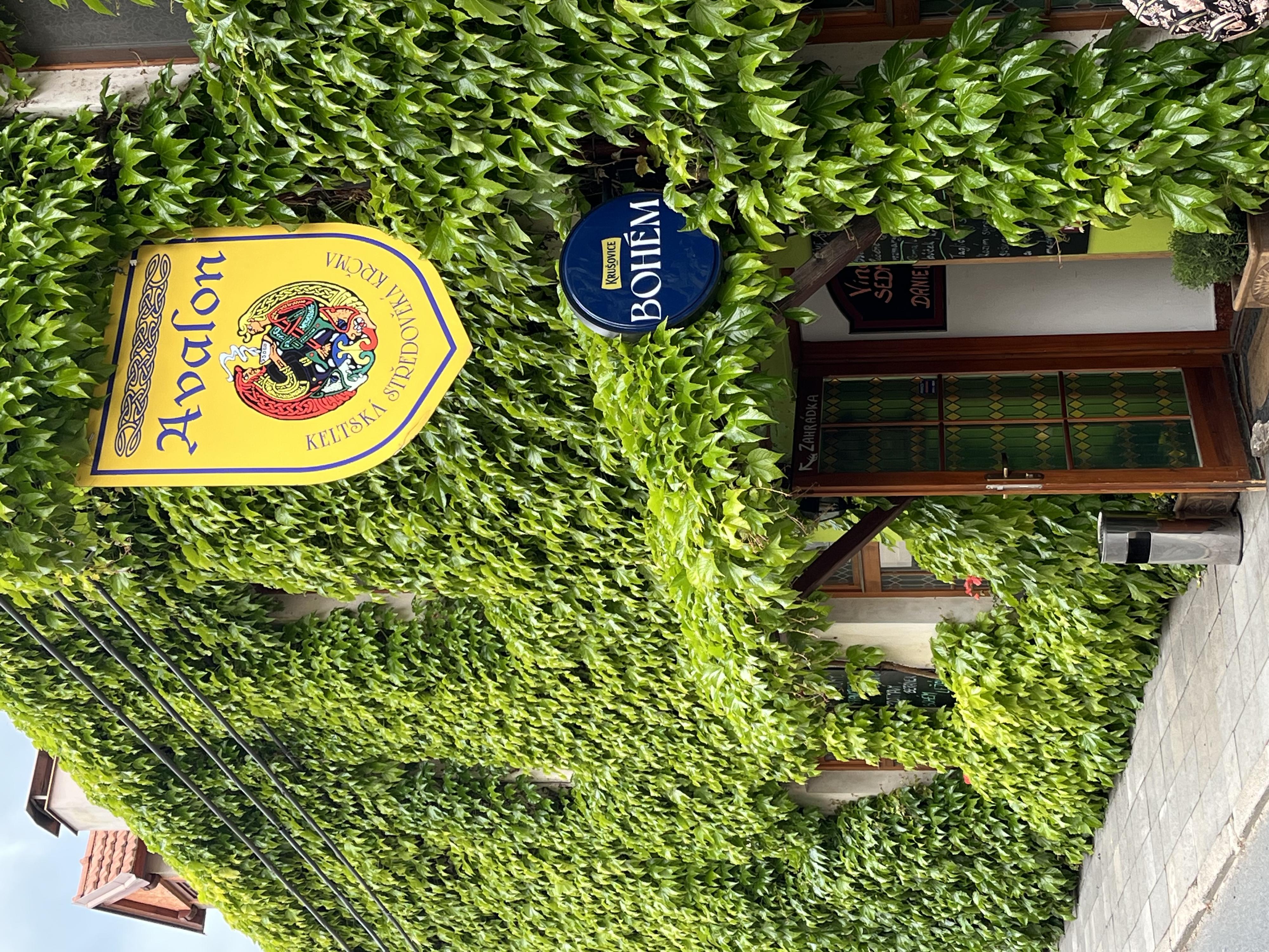 Avalon - Keltská středověká krčma foto 2