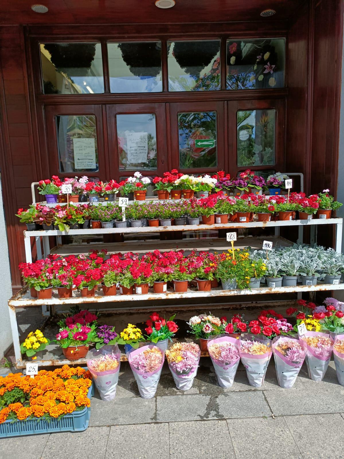 Květiny Olšany - Pavel Šticha foto 2