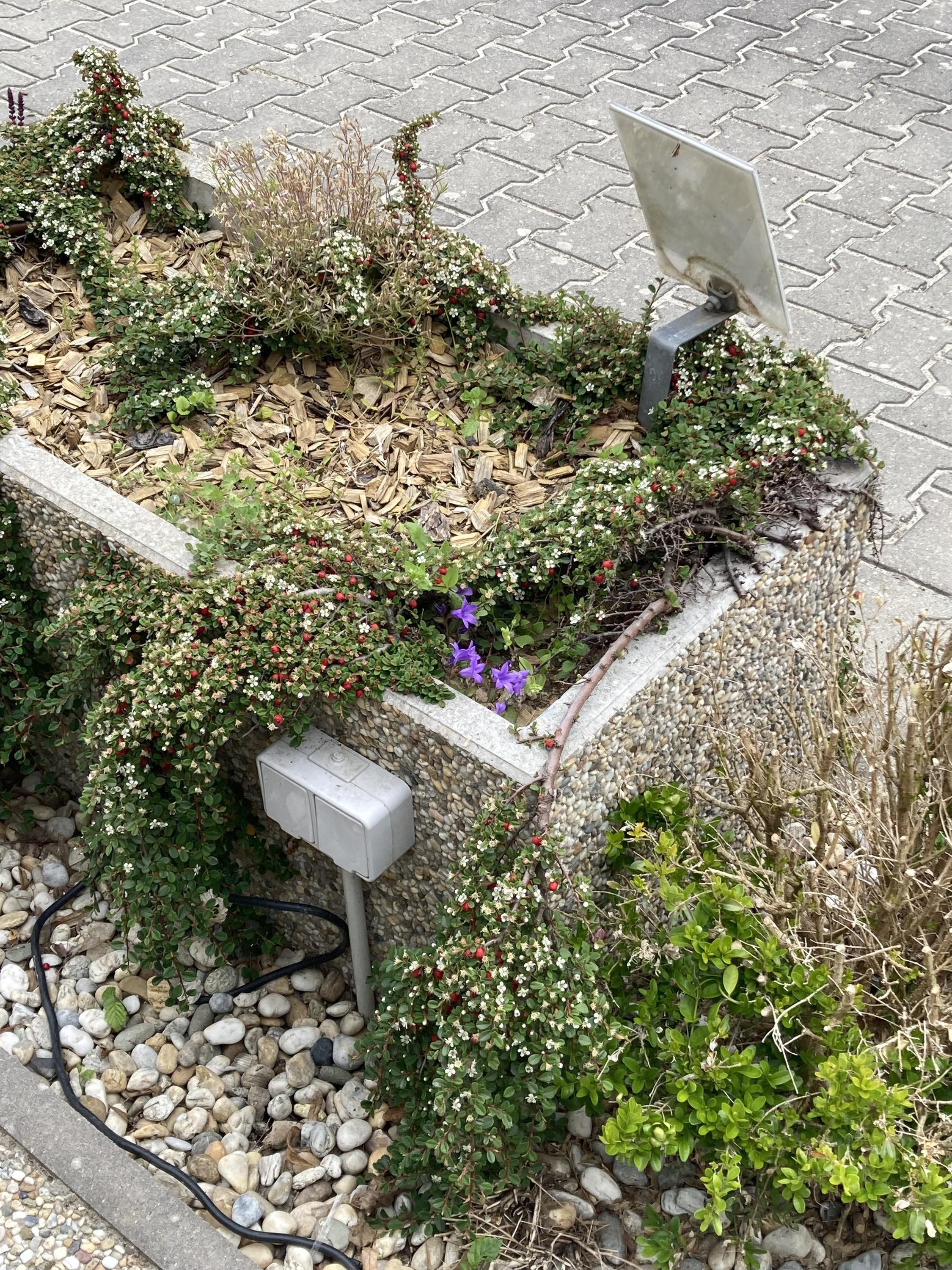 Nabíjecí stanice pro elektrokola - Hasičský pivovar Bítov foto 2