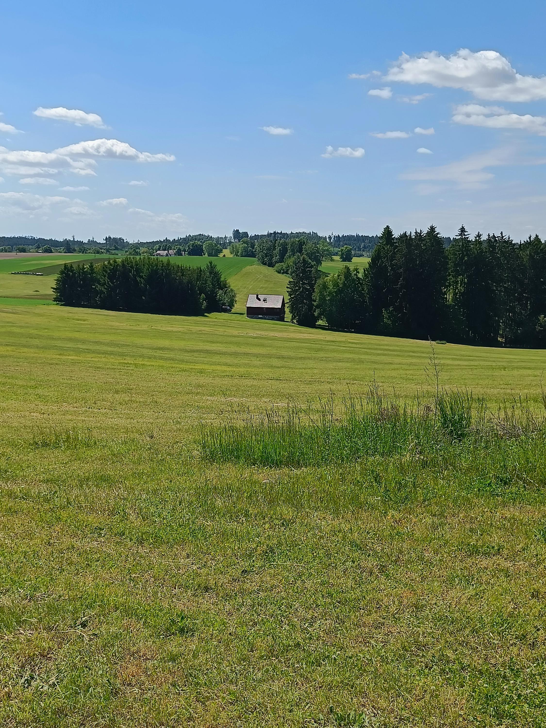 Chata za Hájkem foto 3