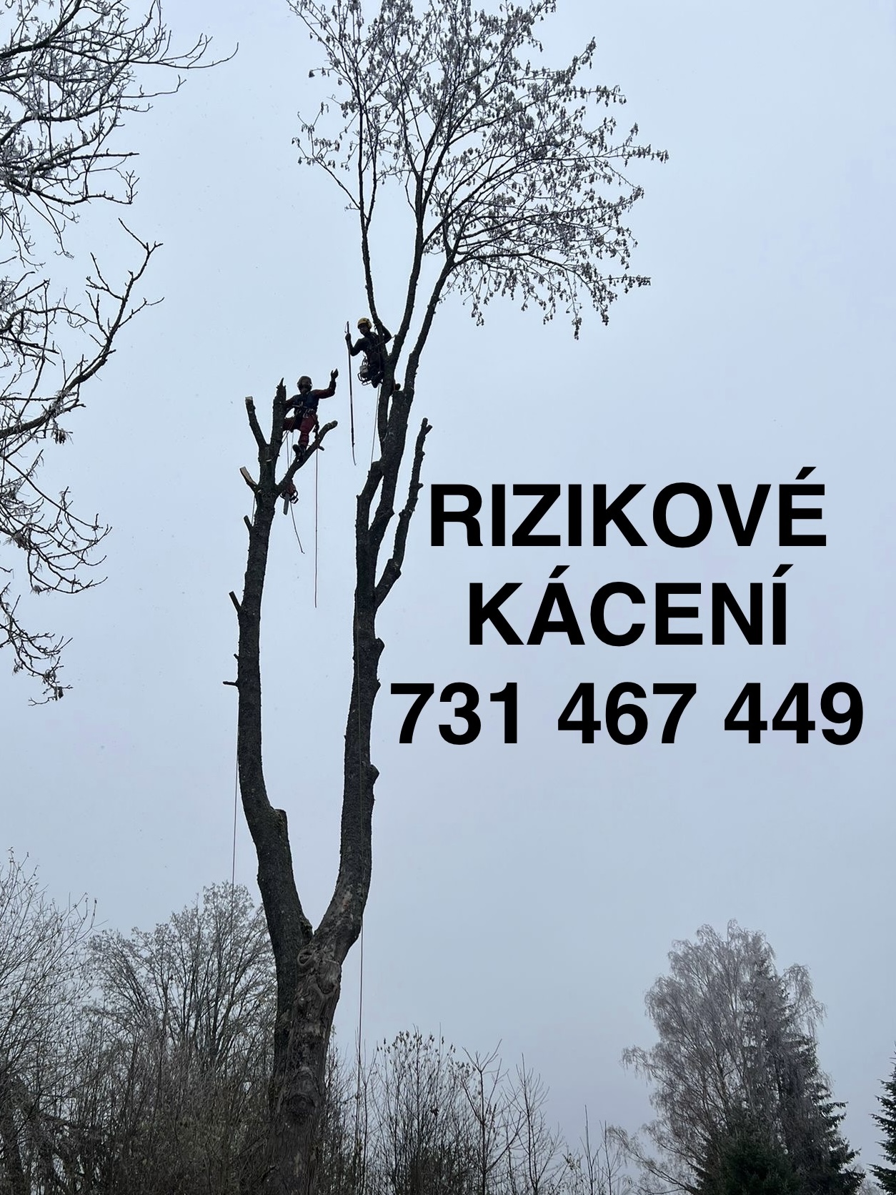 Zahradnické služby Martin Havelka foto 3