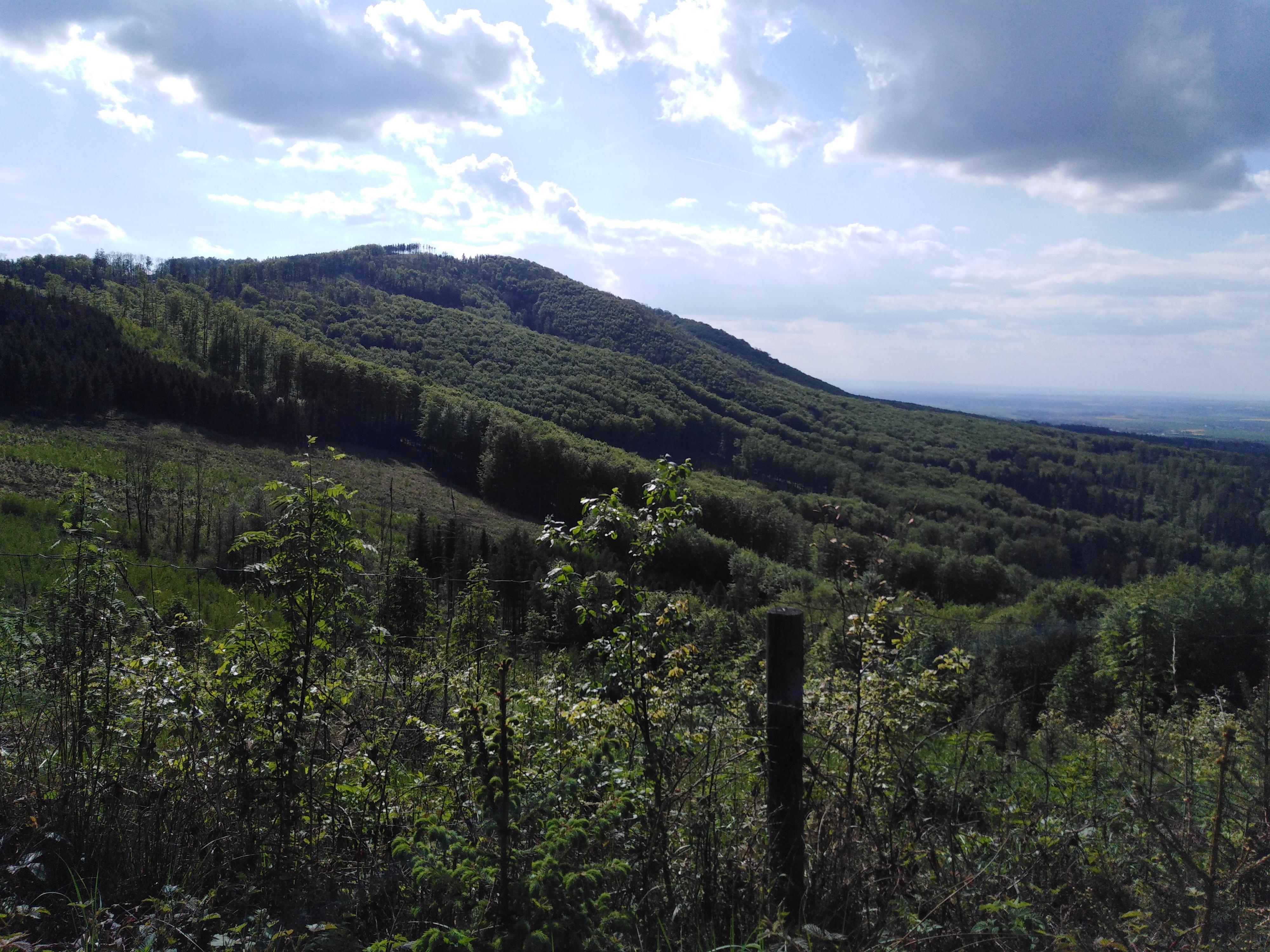 Chata Pod Kapličkou foto 6