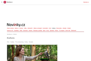 Kultura a umění