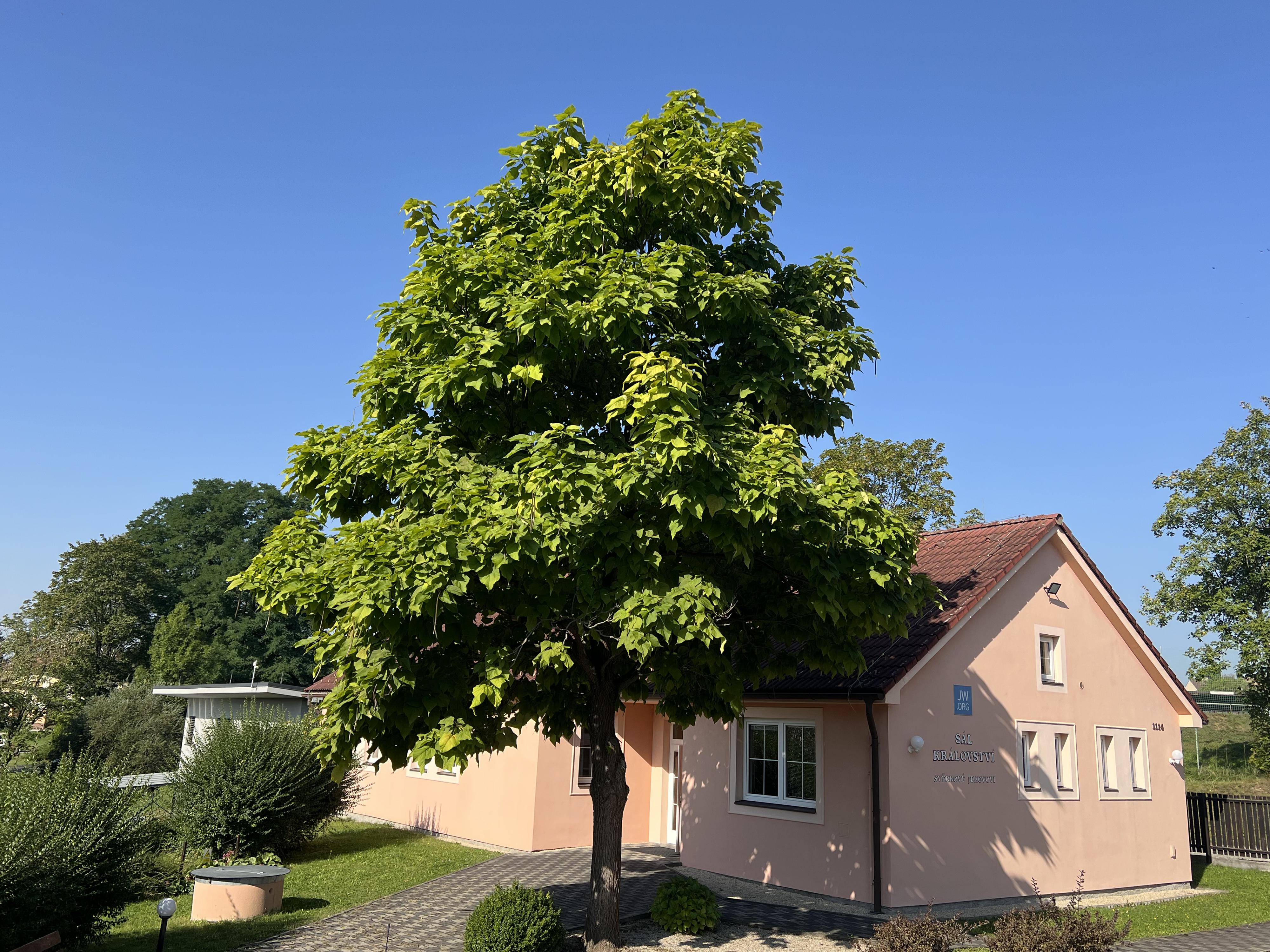 Náboženská společnost Svědkové Jehovovi