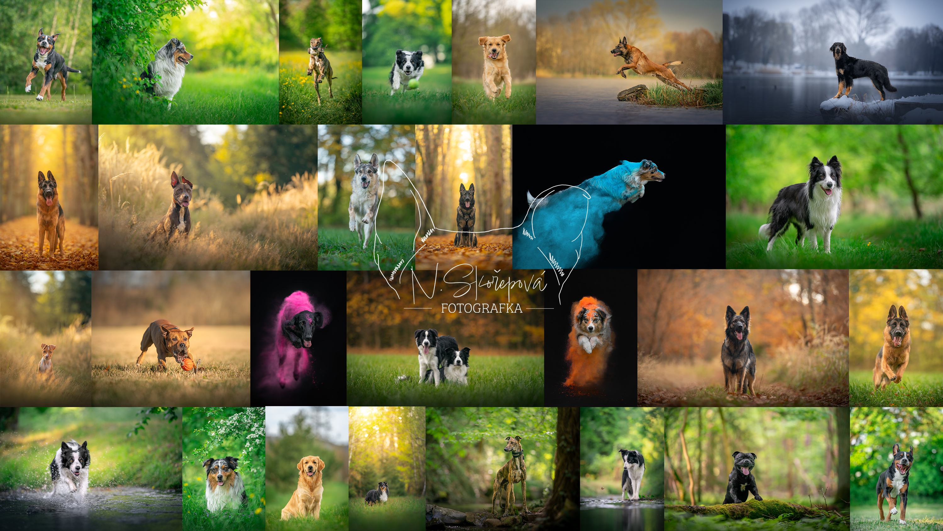 Fotografka Nikola Skořepová foto 2