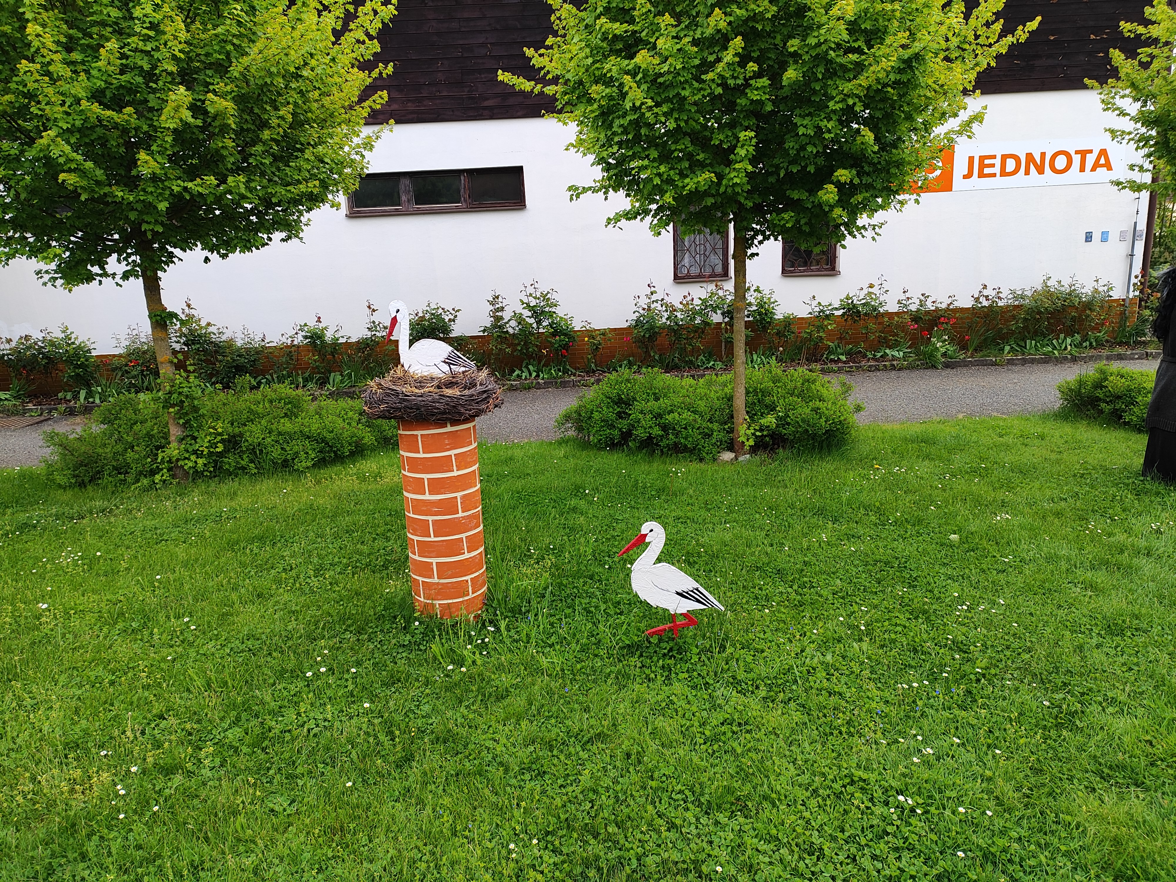 COOP - JEDNOTA, spotřební družstvo Plasy foto 4