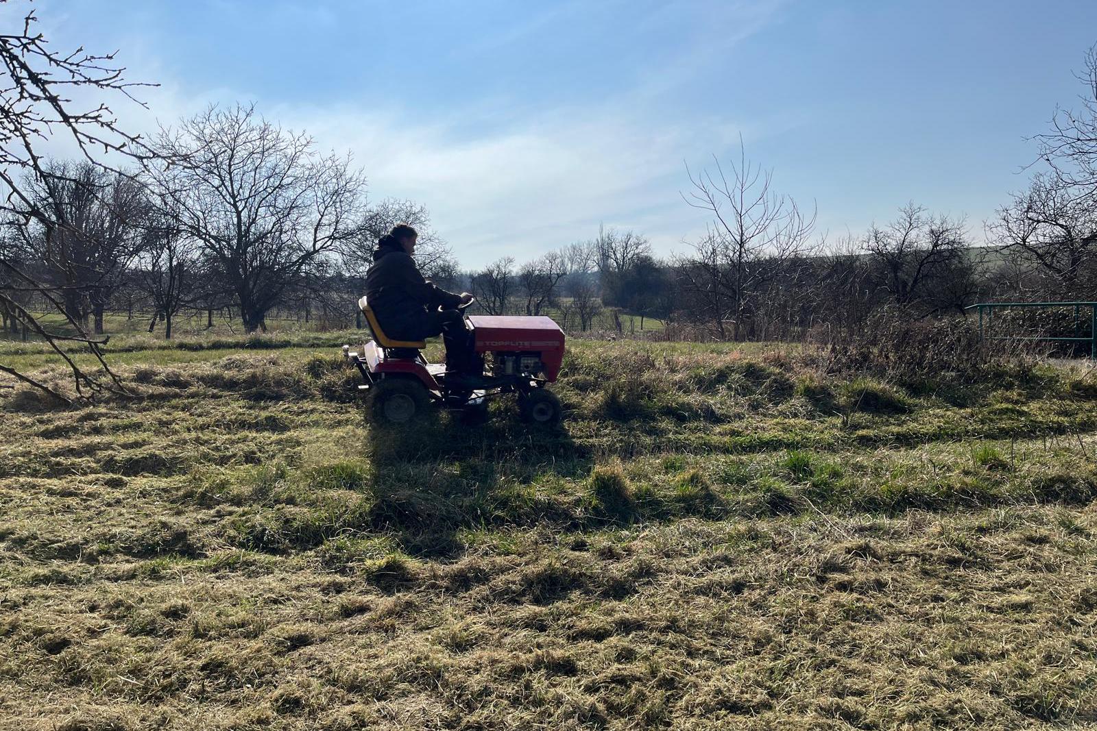 Zahradnické služby Sojka foto 1