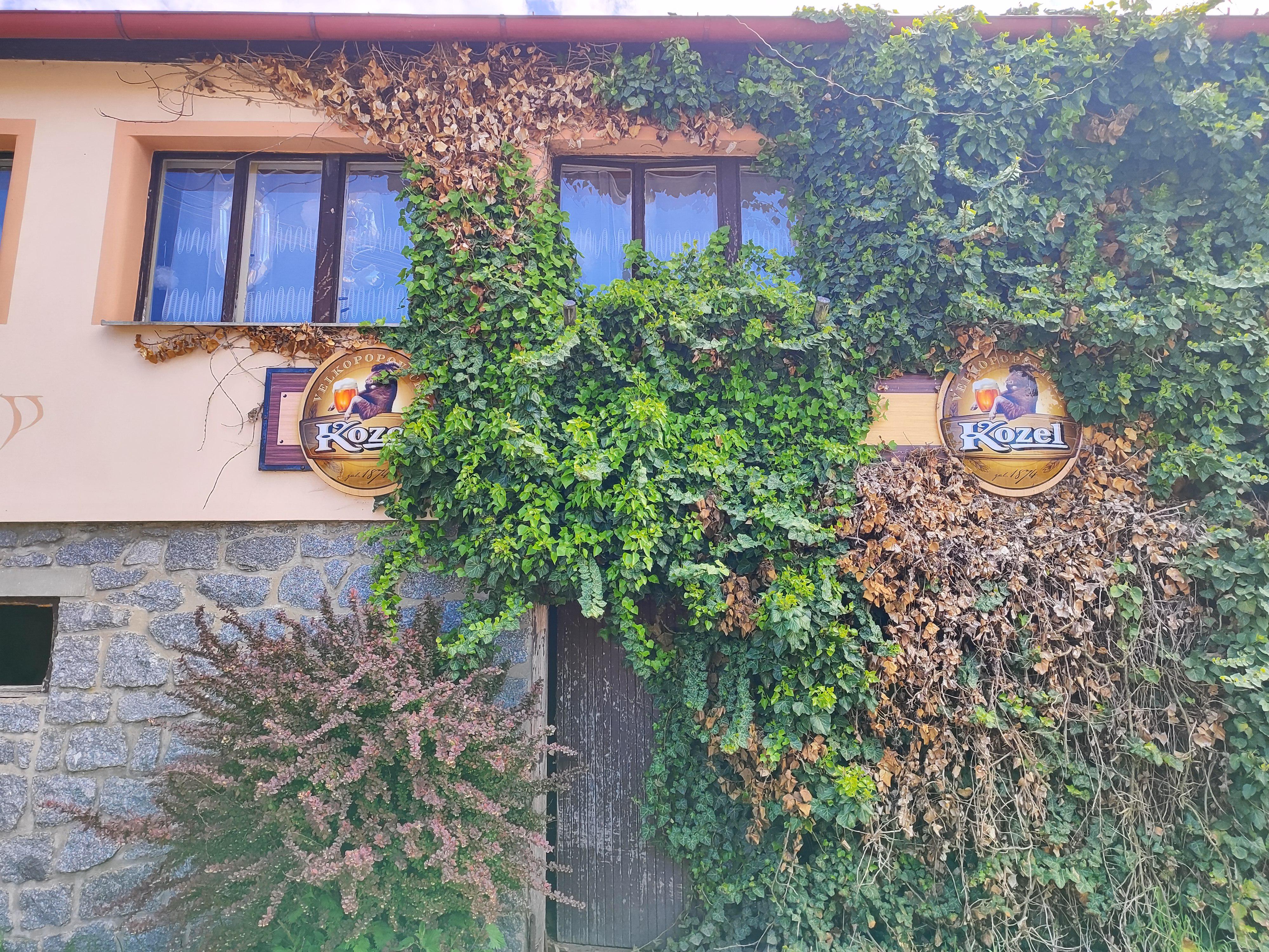 Pohostinstí U Márů
