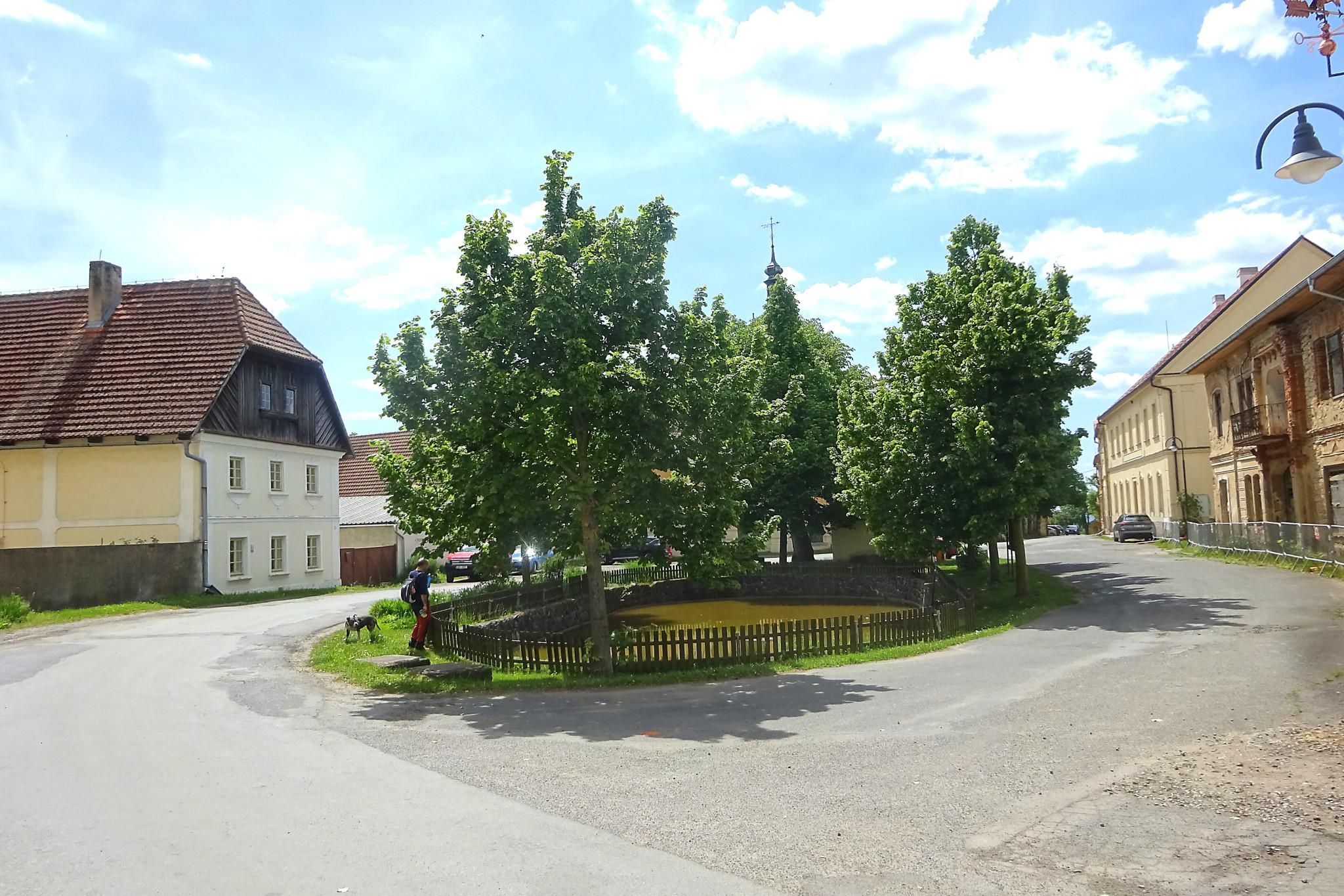 Domov seniorů Vidim, poskytovatel sociálních služeb foto 6
