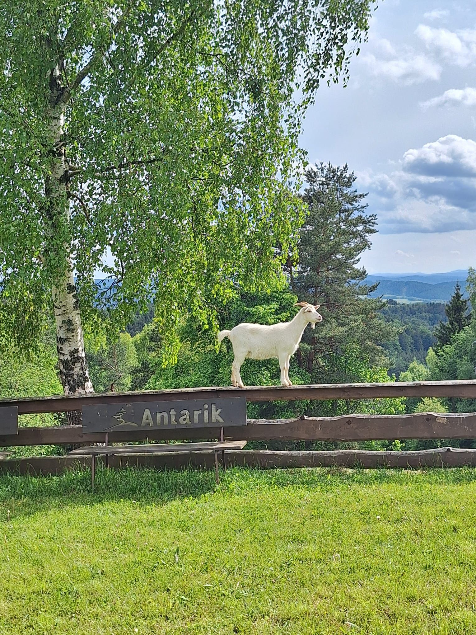 Restaurace - Horská chata Antarik foto 3