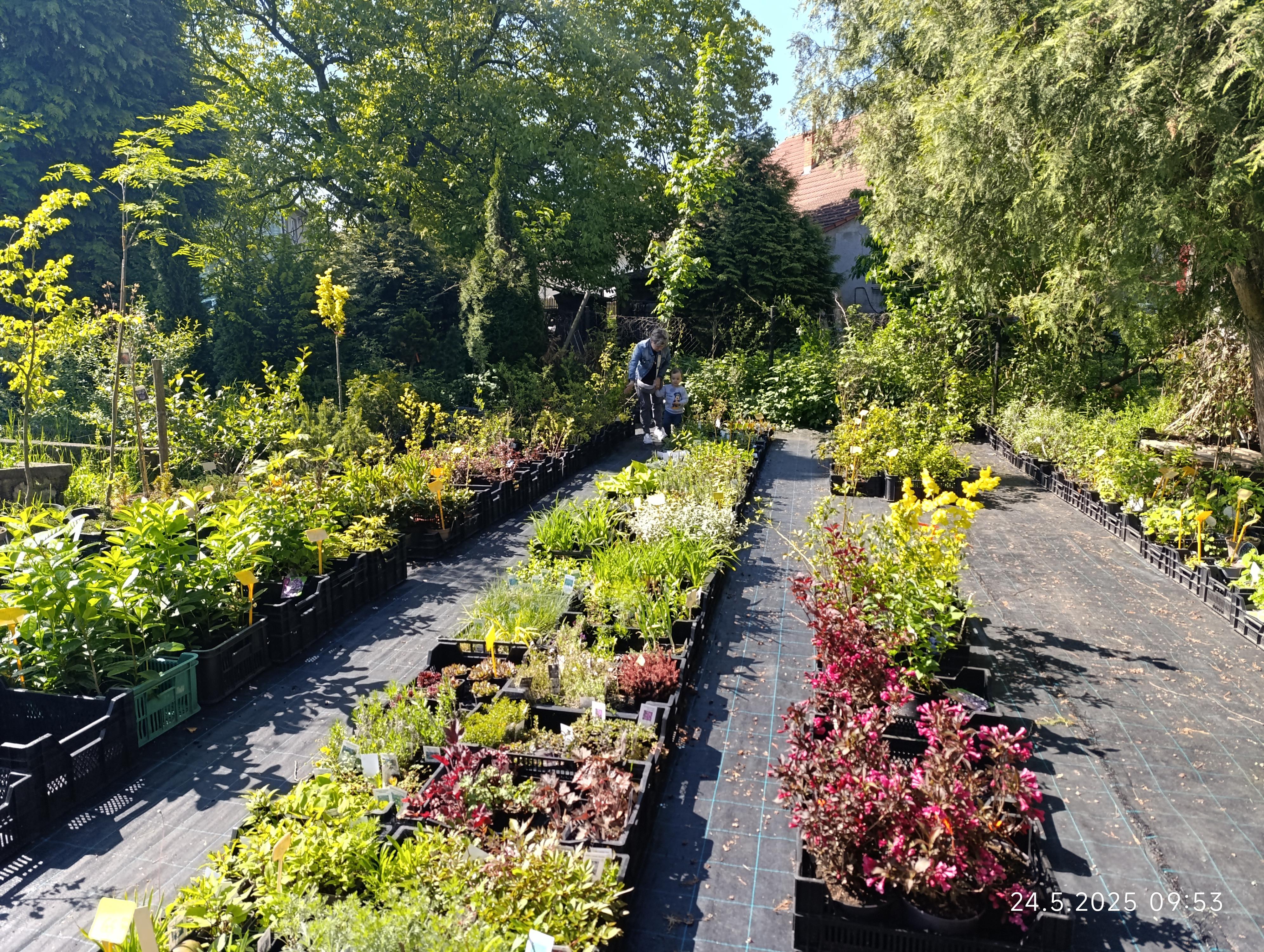 Zahradnictví Matula