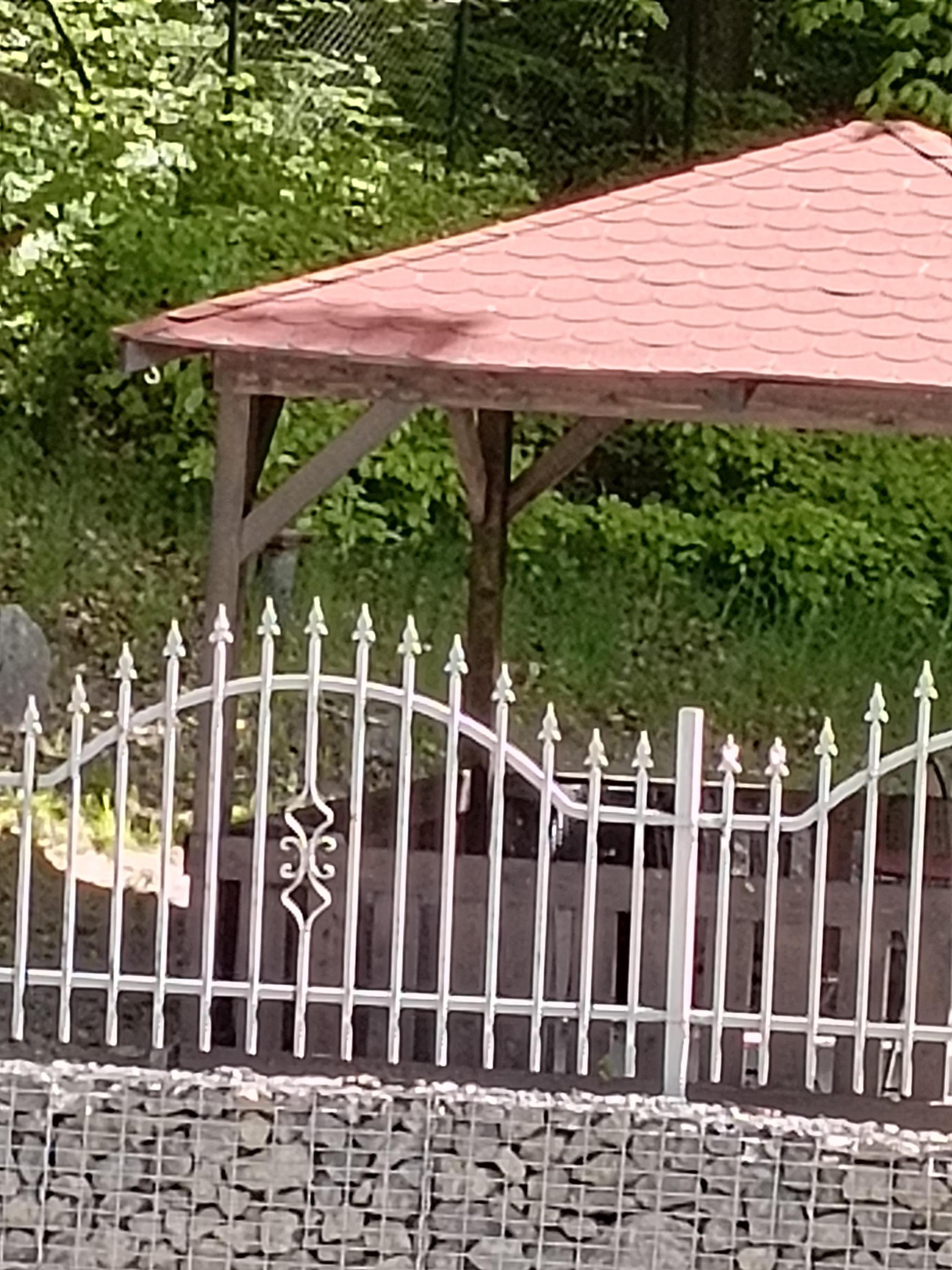 PARKHOTEL FOREST foto 2