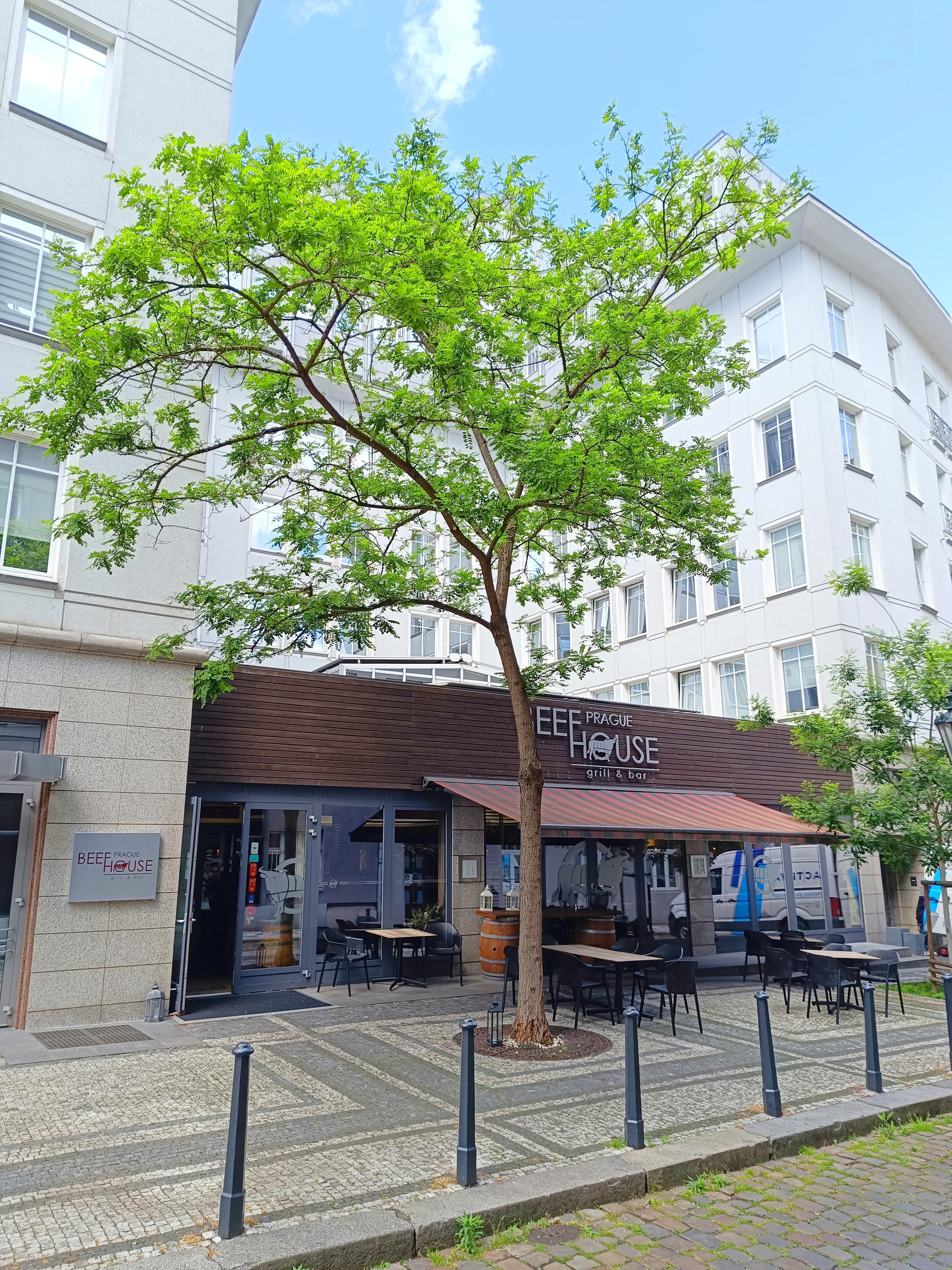 Beef House Prague grill & bar foto 5