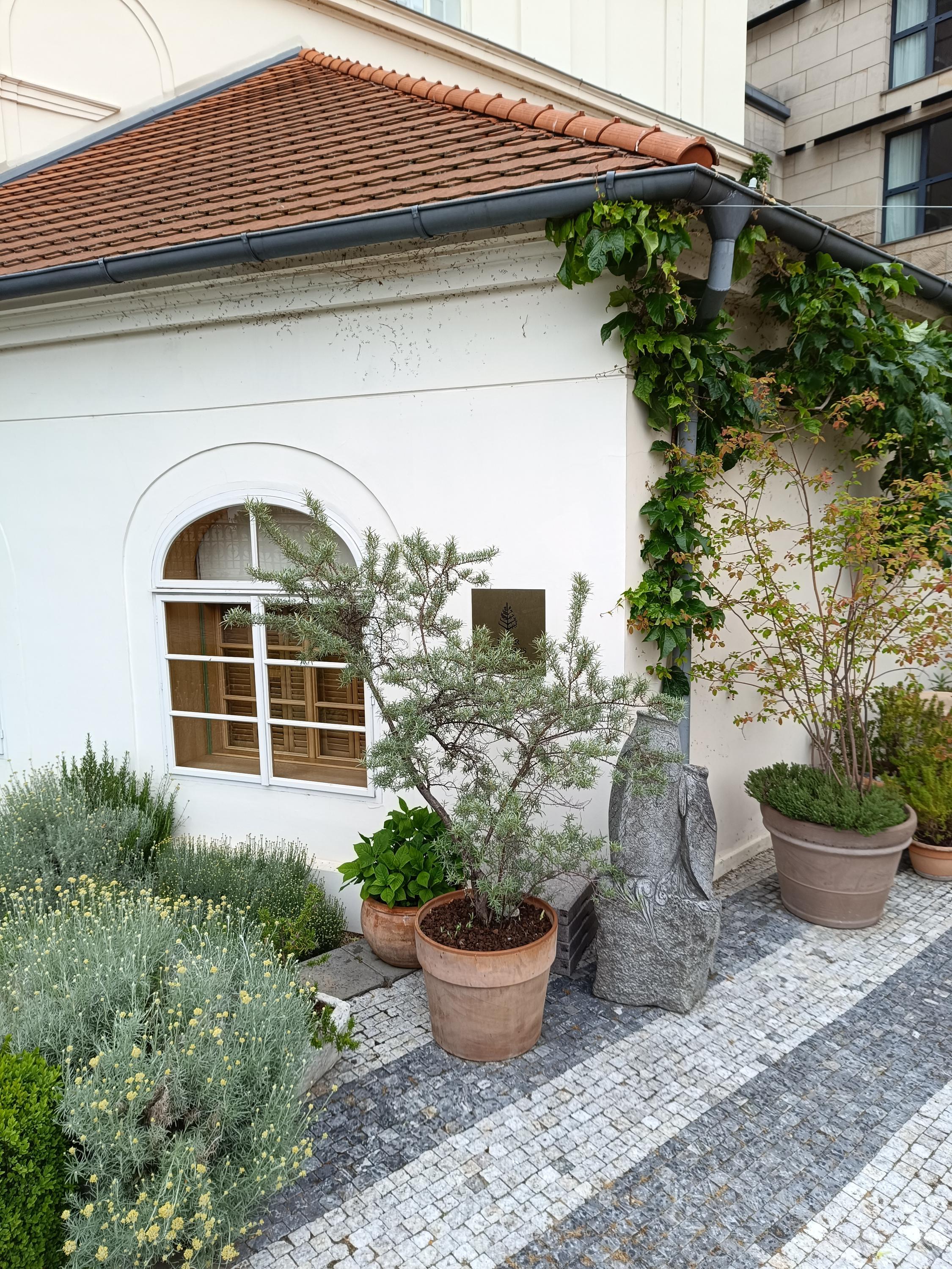 Hotel Four Seasons foto 5