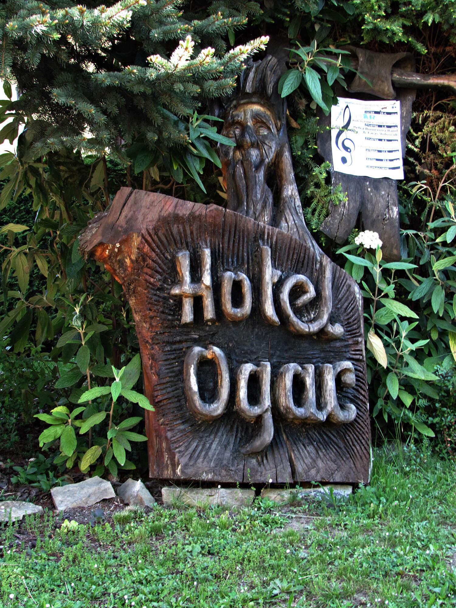 Hotel Ogar foto 6