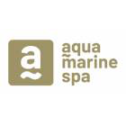 Chemoform tekutý čistič okrajů bazénů 1 litr v obchodě shop.aquamarinespa.cz