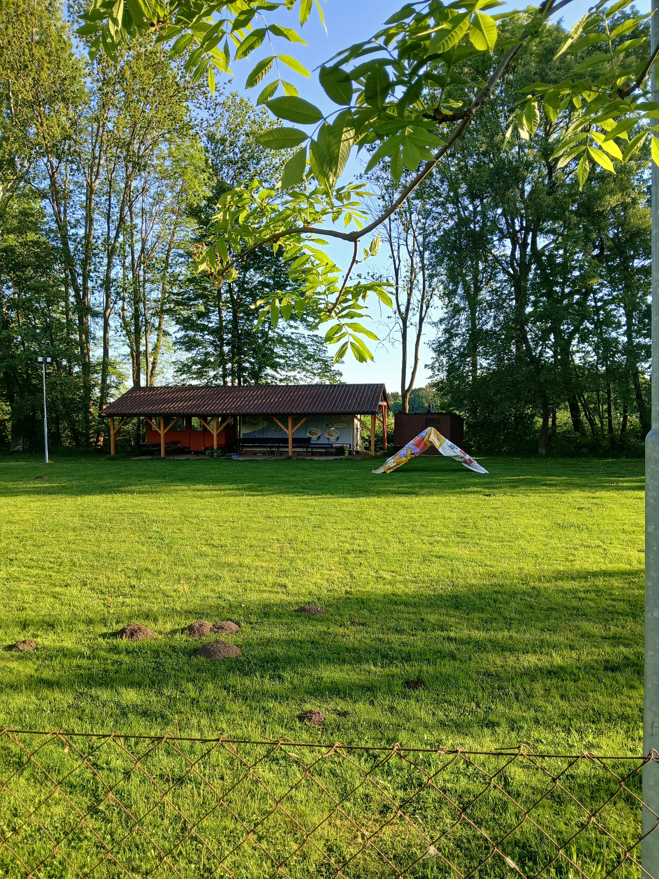 Český kynologický svaz ZKO Vysoké Mýto - 206 foto 3