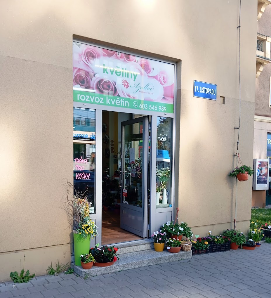 Květinový servis Azalka foto 5