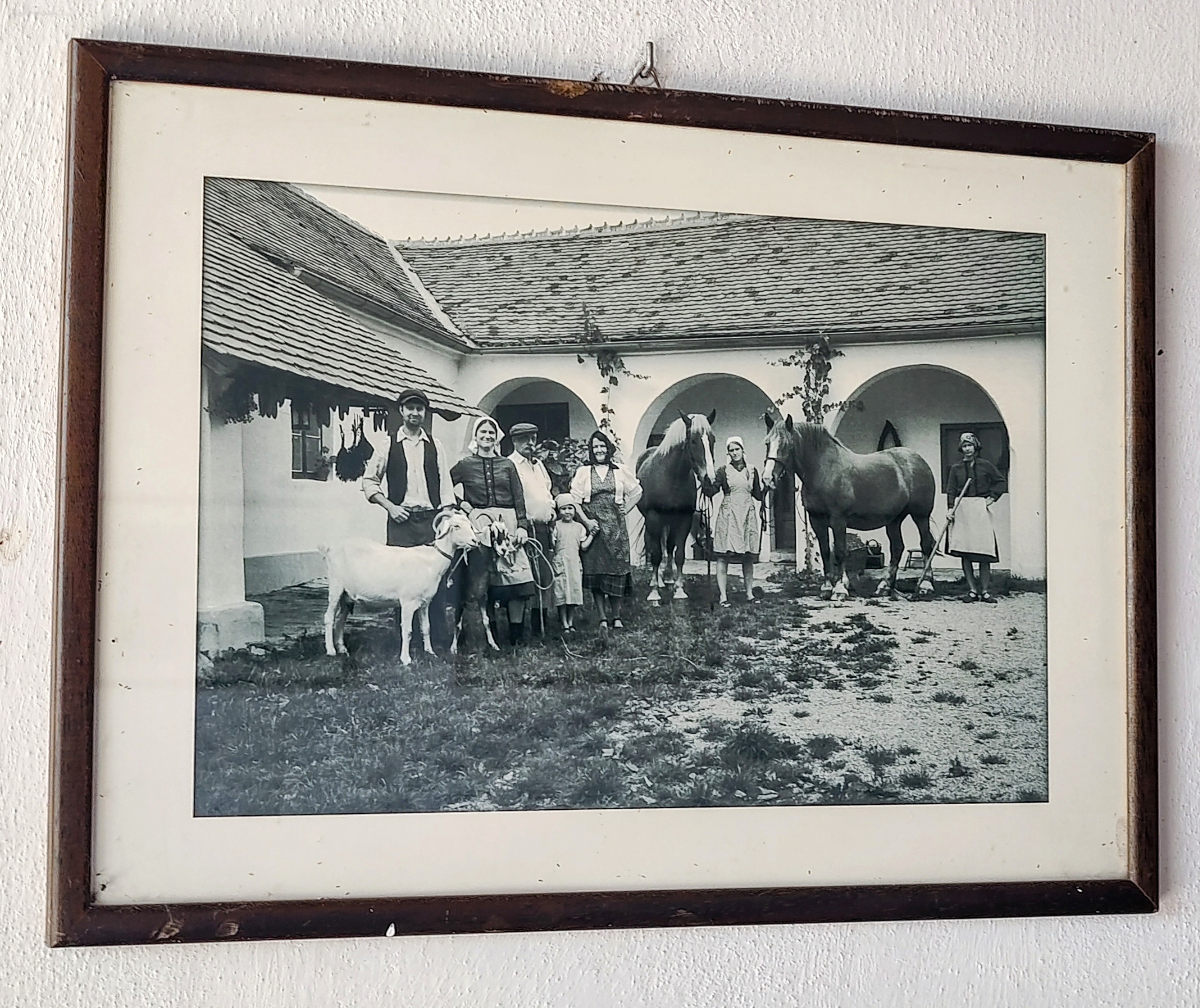 Hospůdka Jáňův dvůr foto 2