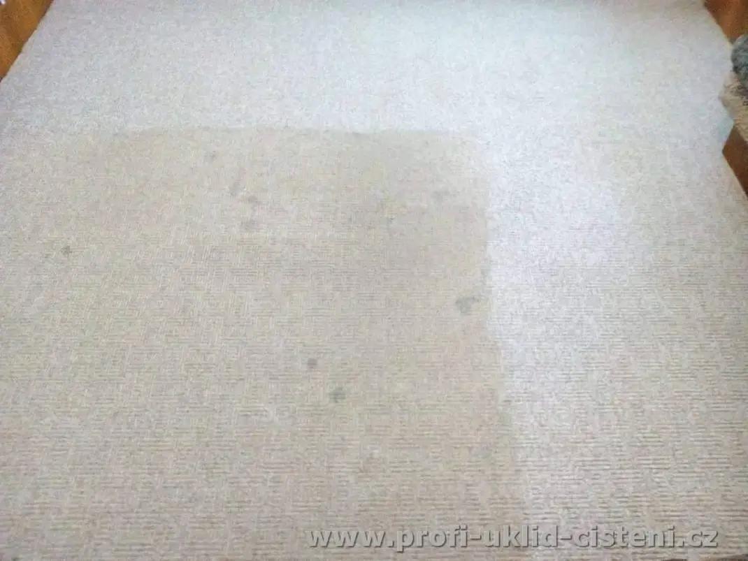 Bittner Profi-Úklid-Čištění foto 2