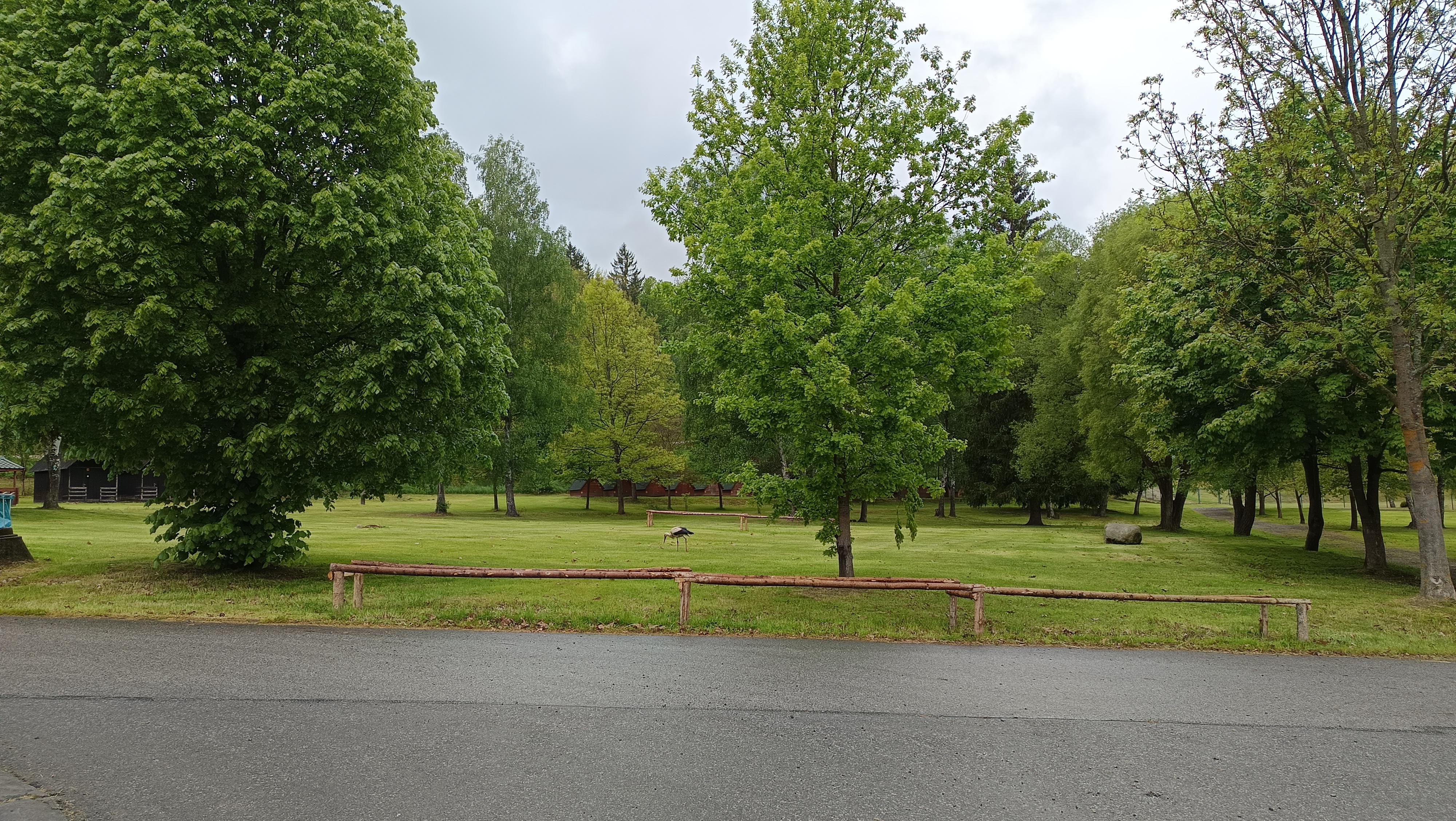 Stellplatz - Kemp Pod Hrází foto 3