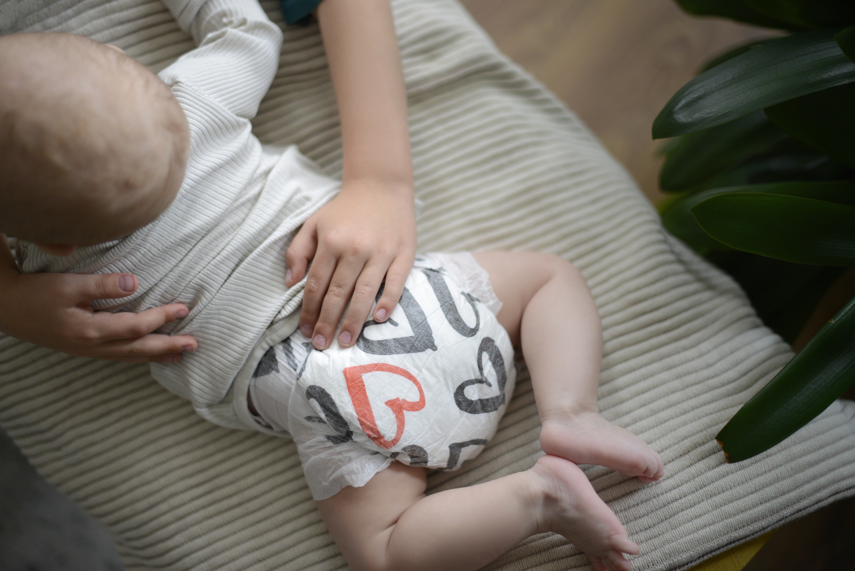 Kolorky Showroom foto 2