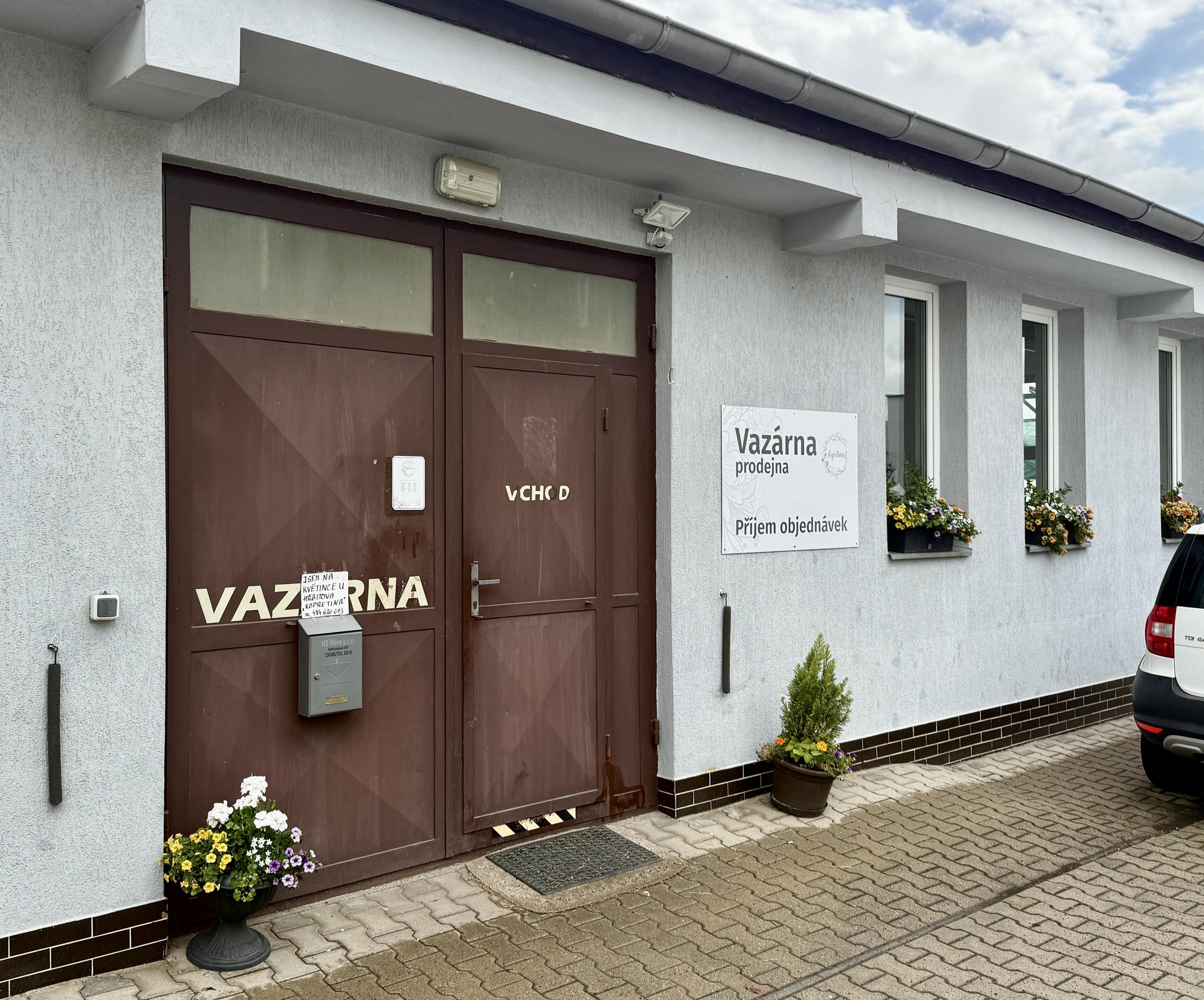 Kopretina u hřbitova foto 2