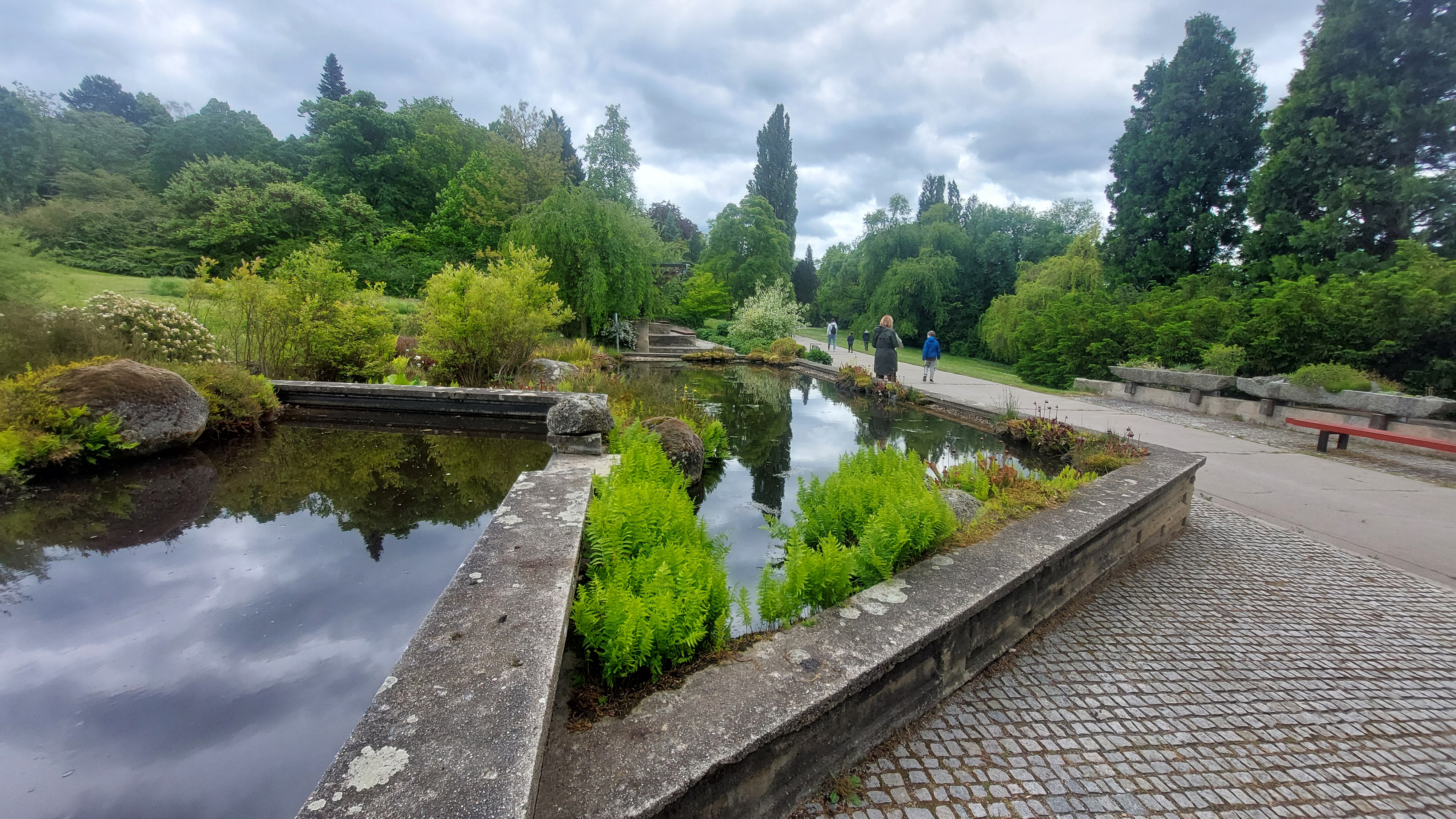 Mendelova univerzita v Brně - Botanická zahrada a arboretum foto 5