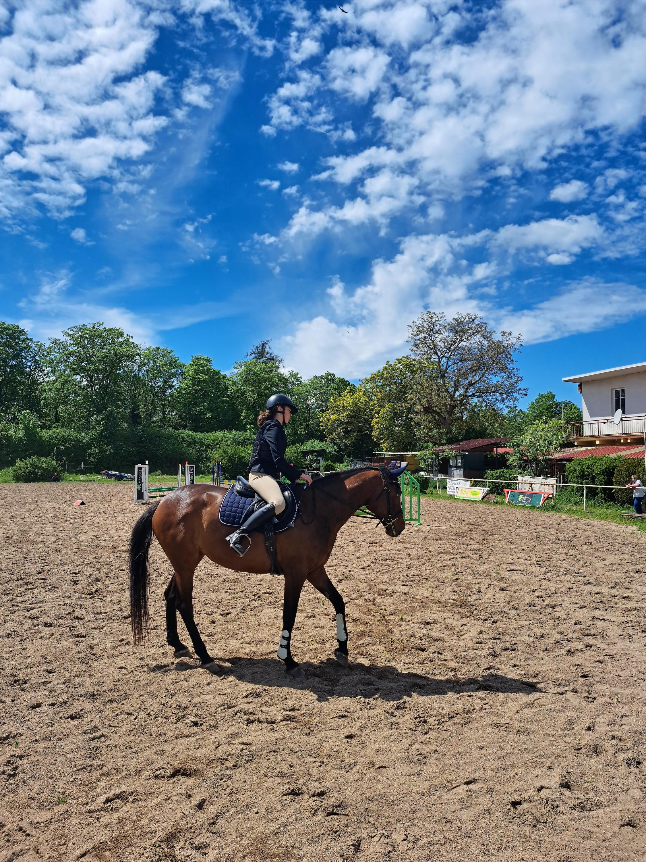 EQUICENTRUM - Jaroměř z.s. foto 2