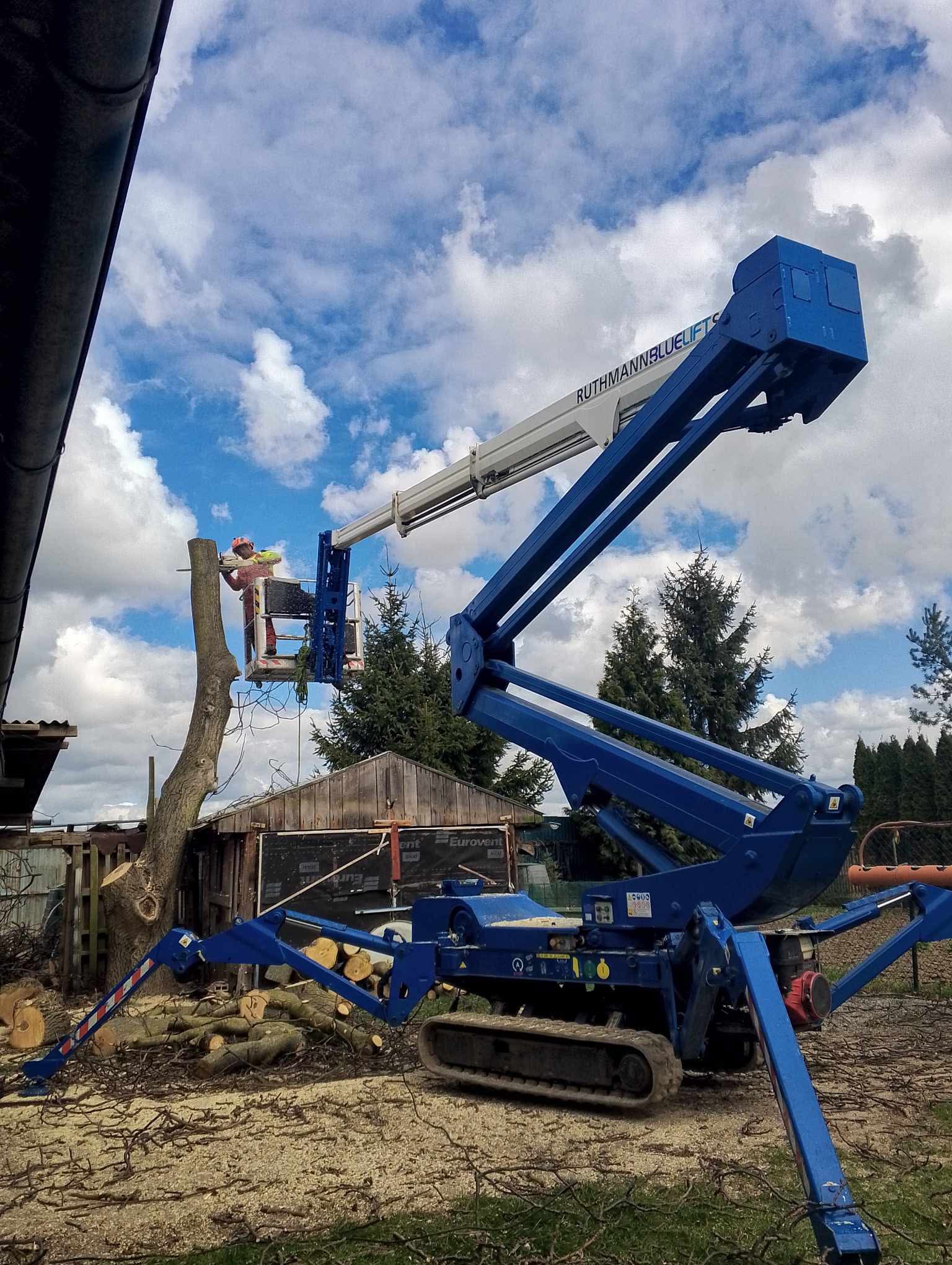 TR DREAM – Rizikové kácení a výškové práce foto 6