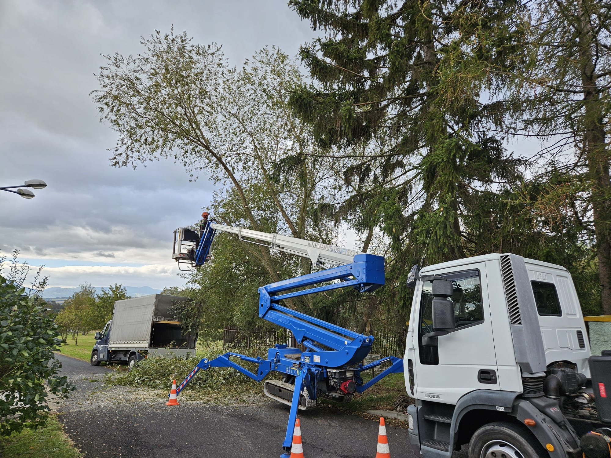 TR DREAM – Rizikové kácení a výškové práce foto 6