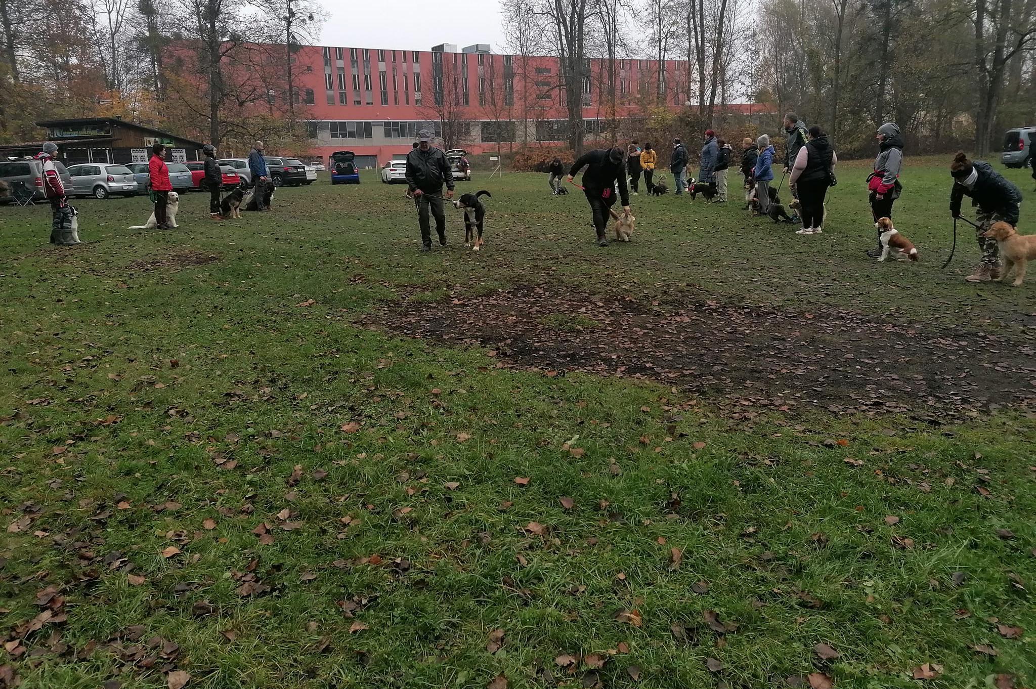 Český kynologický svaz základní kynologická organizace Frýdek-Místek