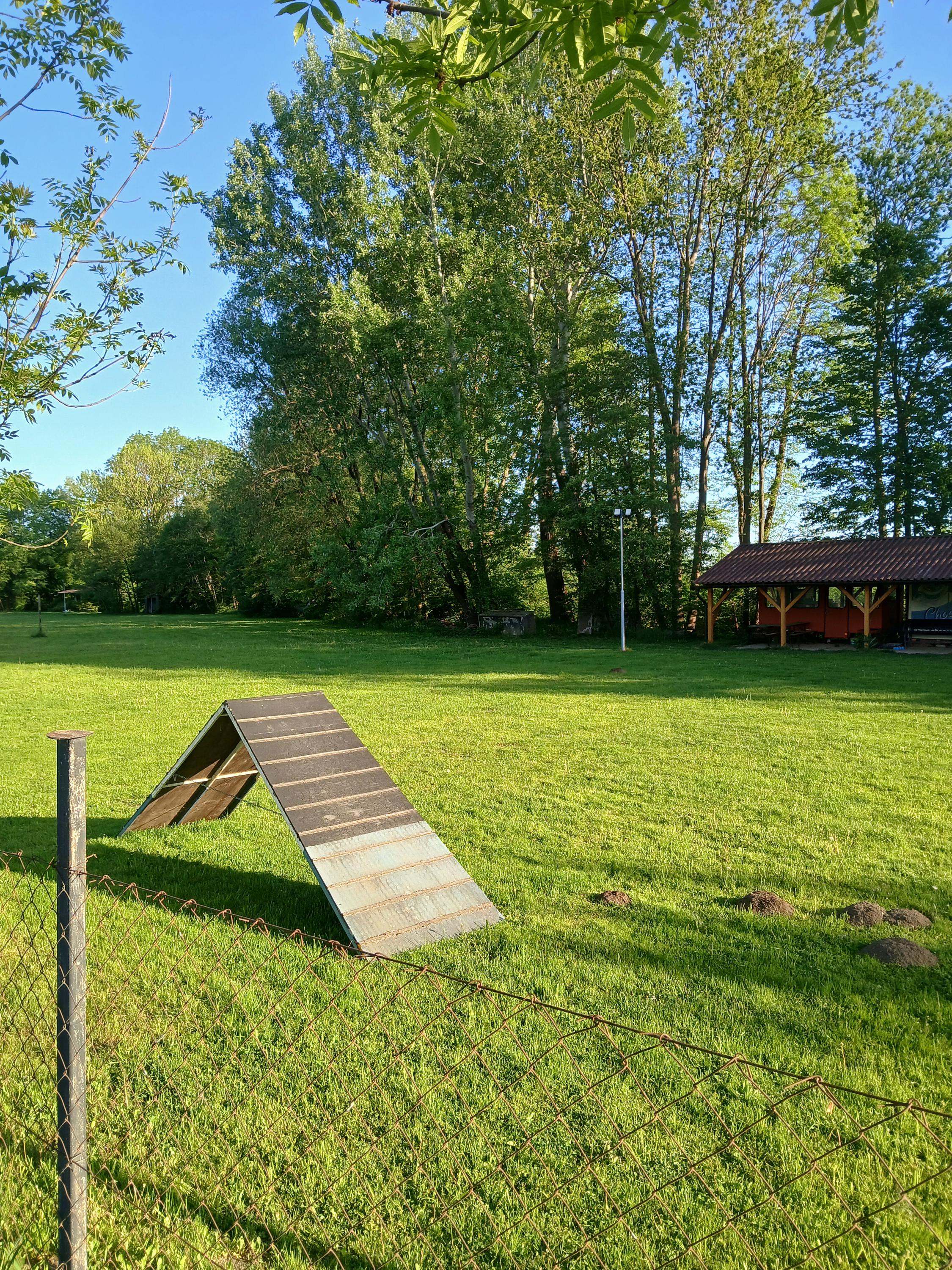 Český kynologický svaz ZKO Vysoké Mýto - 206 foto 2