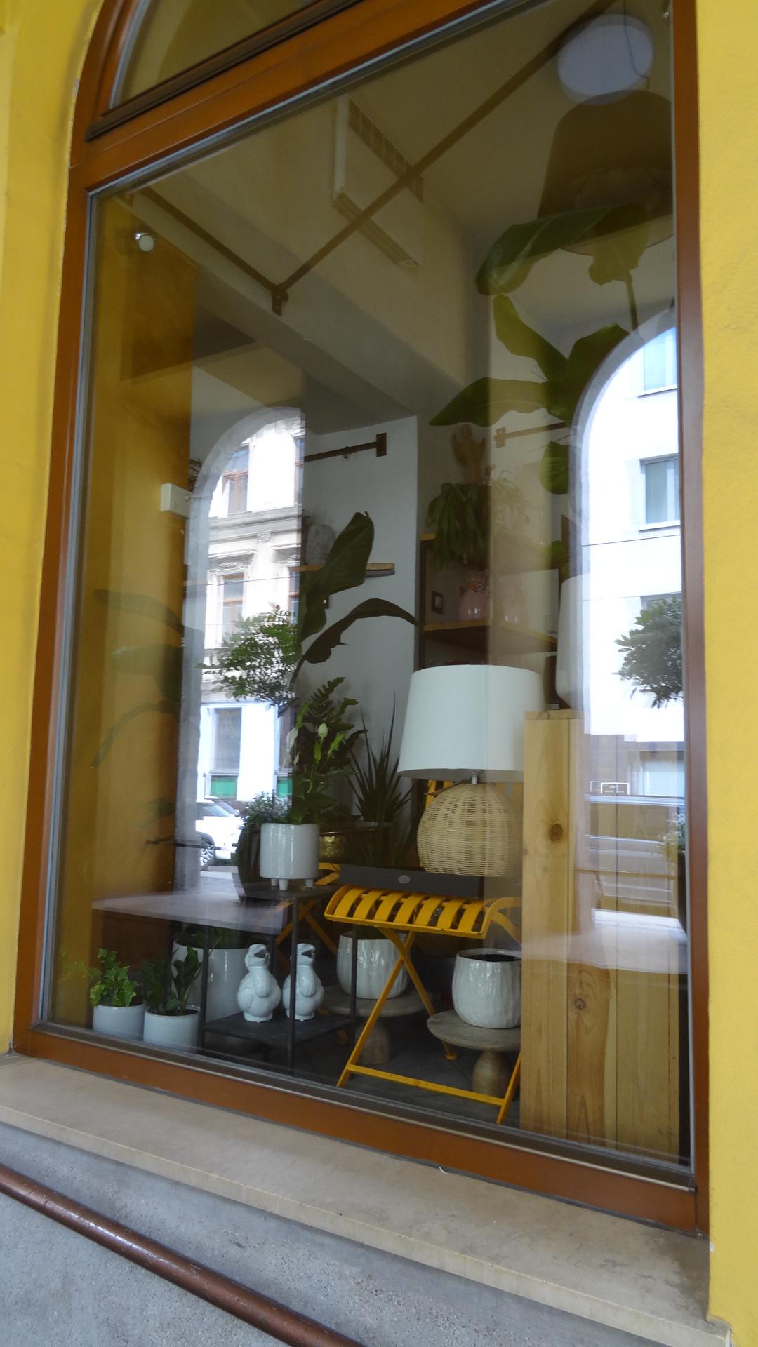 Květinářství Pekařská foto 3