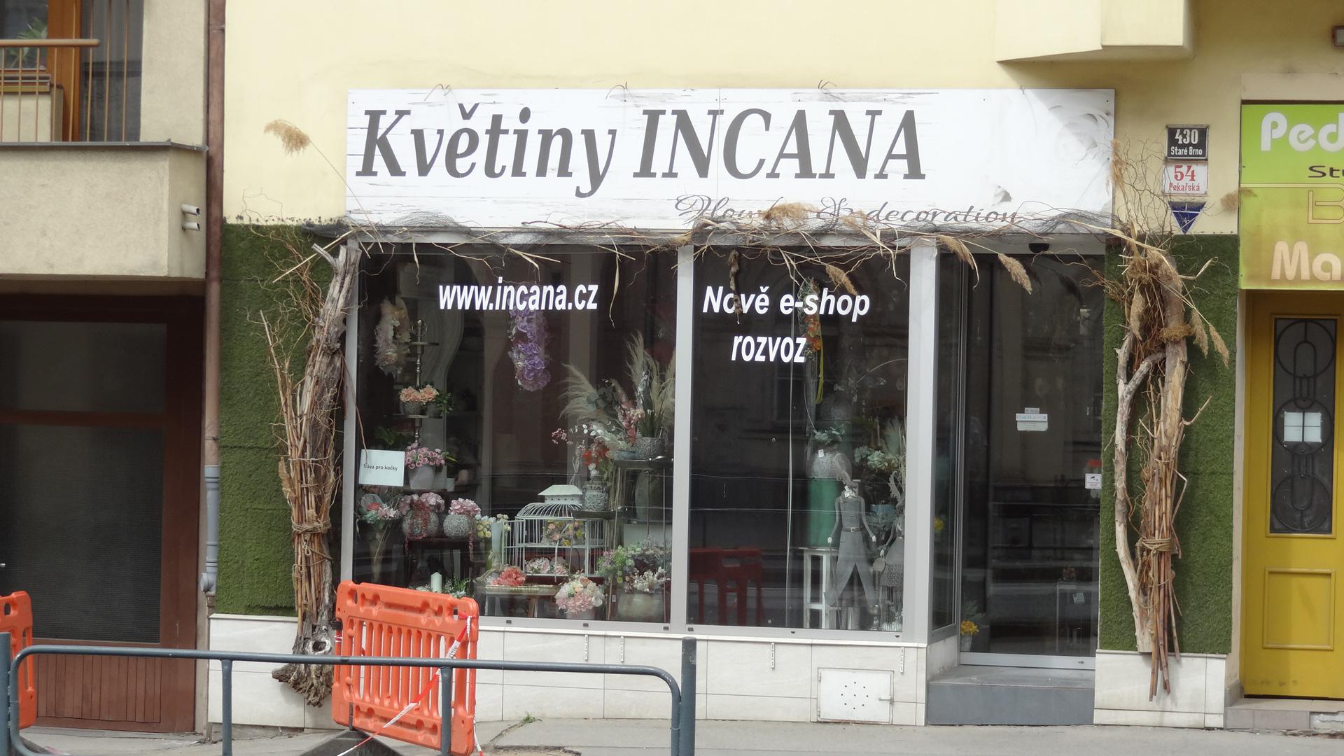 Květiny Incana foto 5
