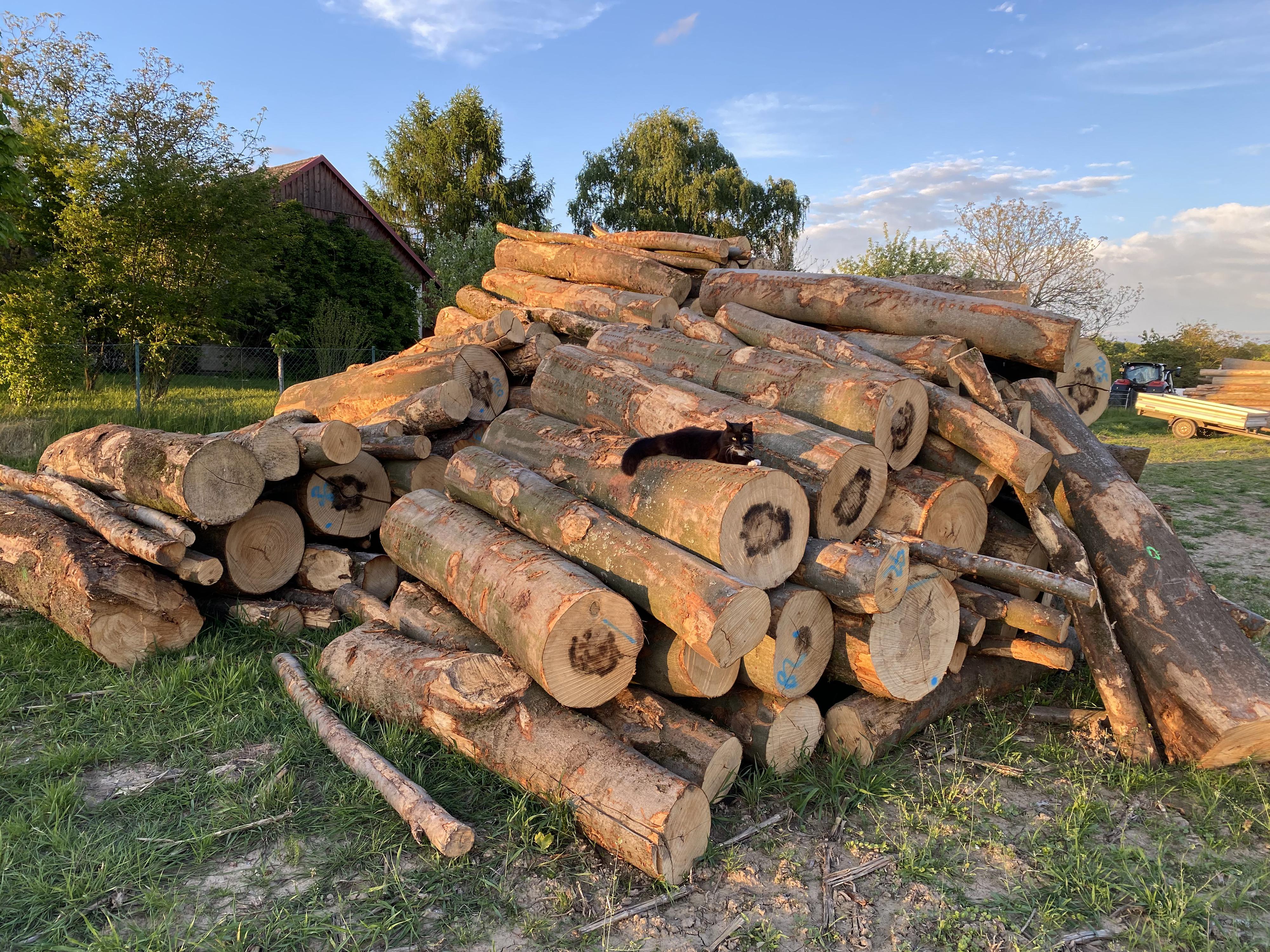 Farma Noskových foto 4