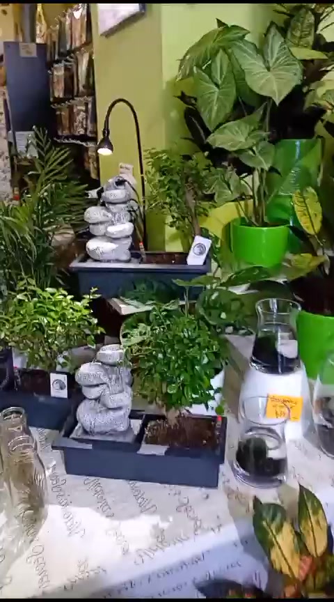 e-kytky.cz - rozvoz květin foto 2 (náhled videa)