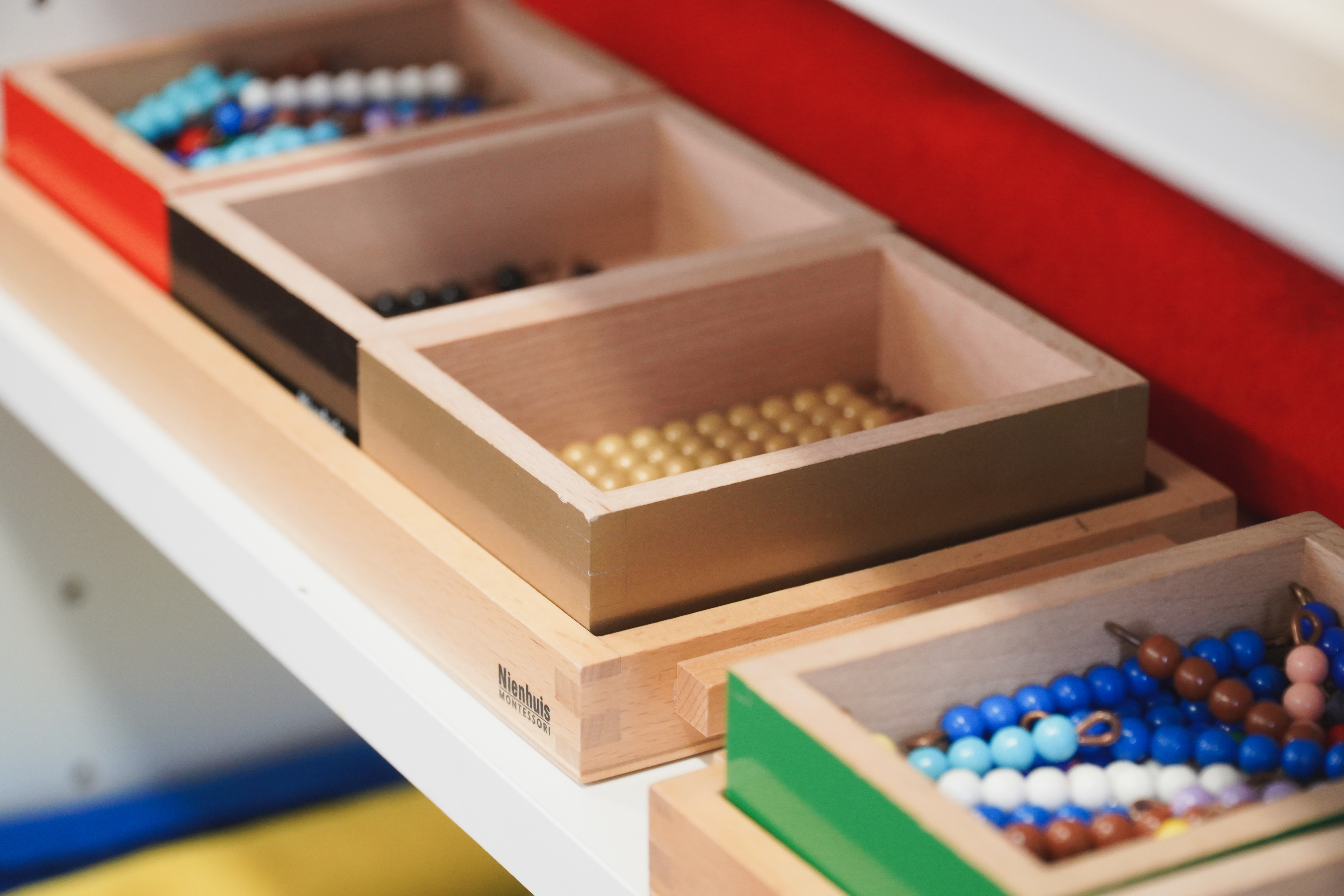 Základní škola a gymnázium AVIDA foto 5